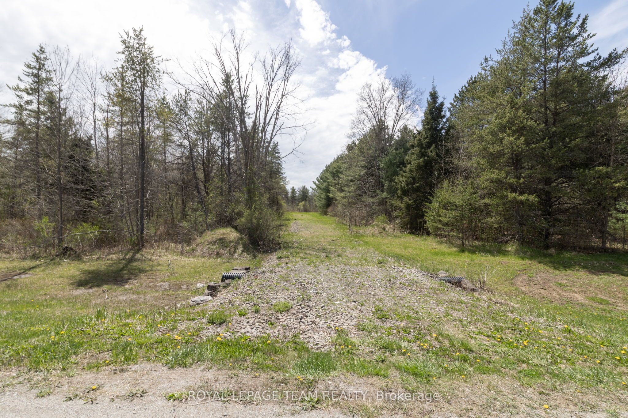 - County Road 29 Road Property Photo 13