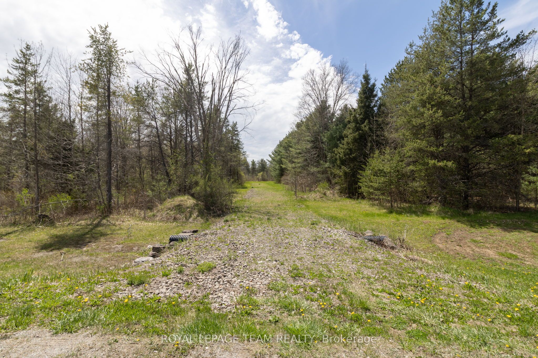 - County Road 29 Road Property Photo 14