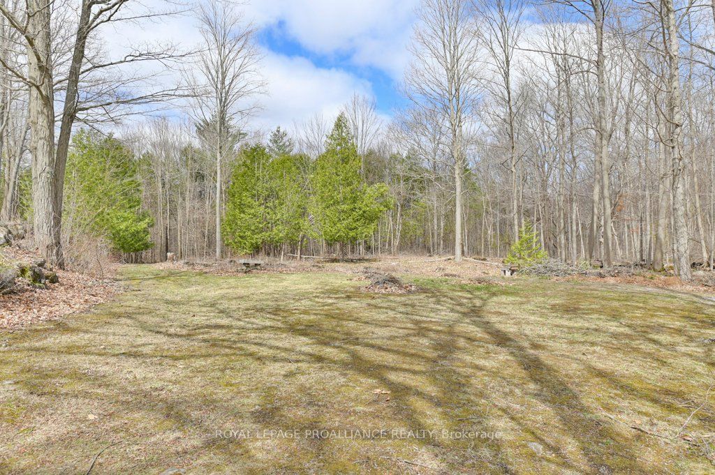 361 Crookston Road Property Photo 37