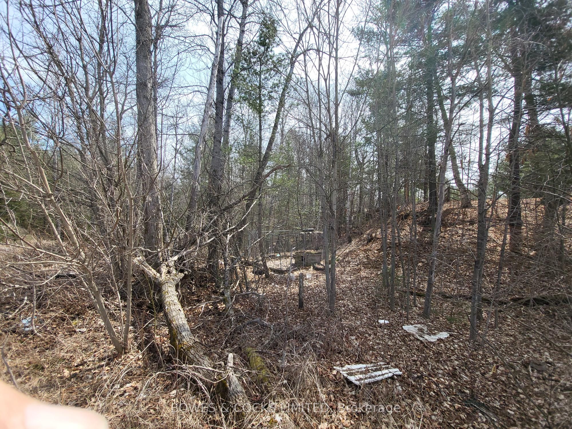 26642 S Highway 62 N/a S Property Photo 13