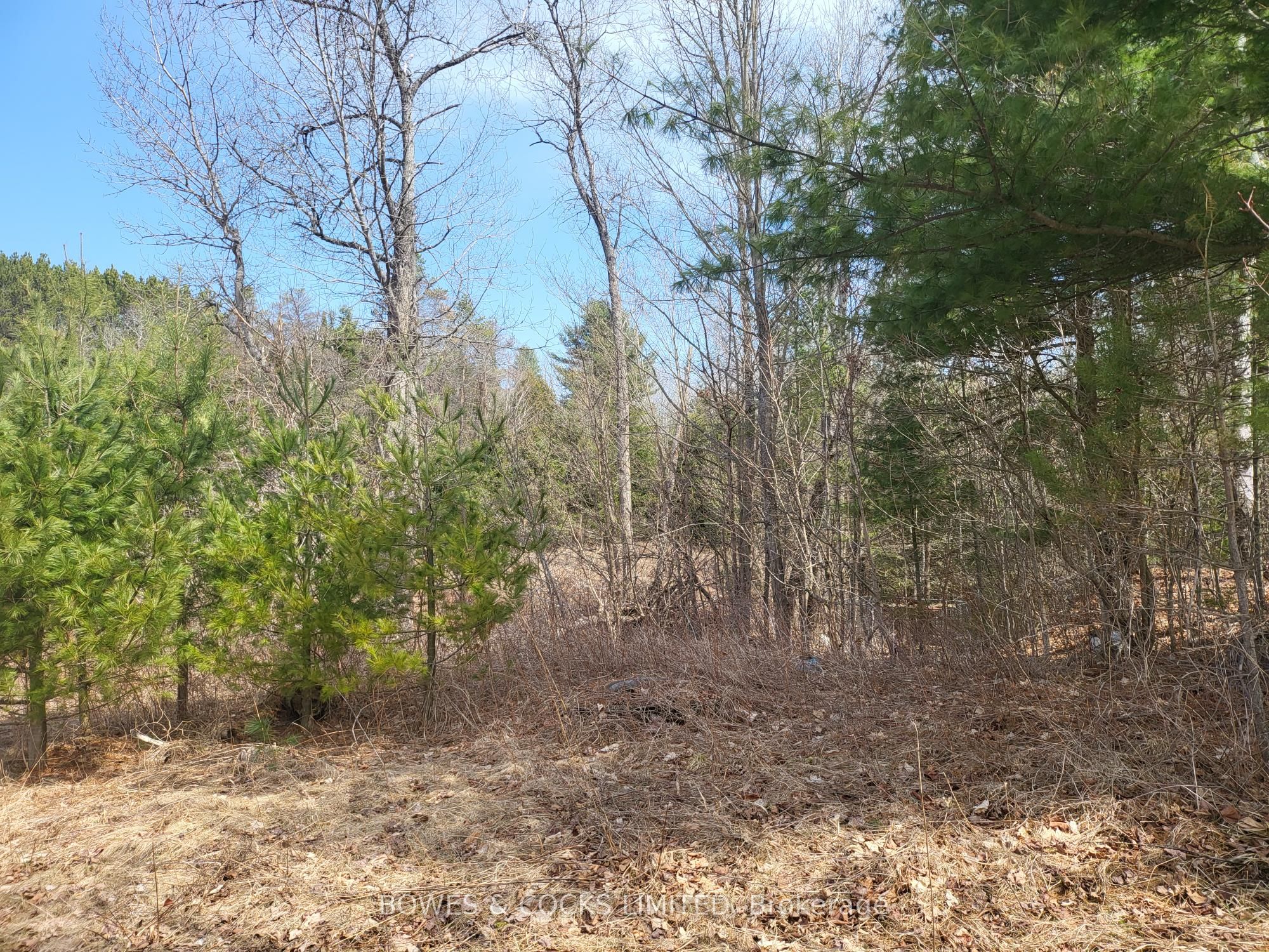 26642 S Highway 62 N/a S Property Photo 17