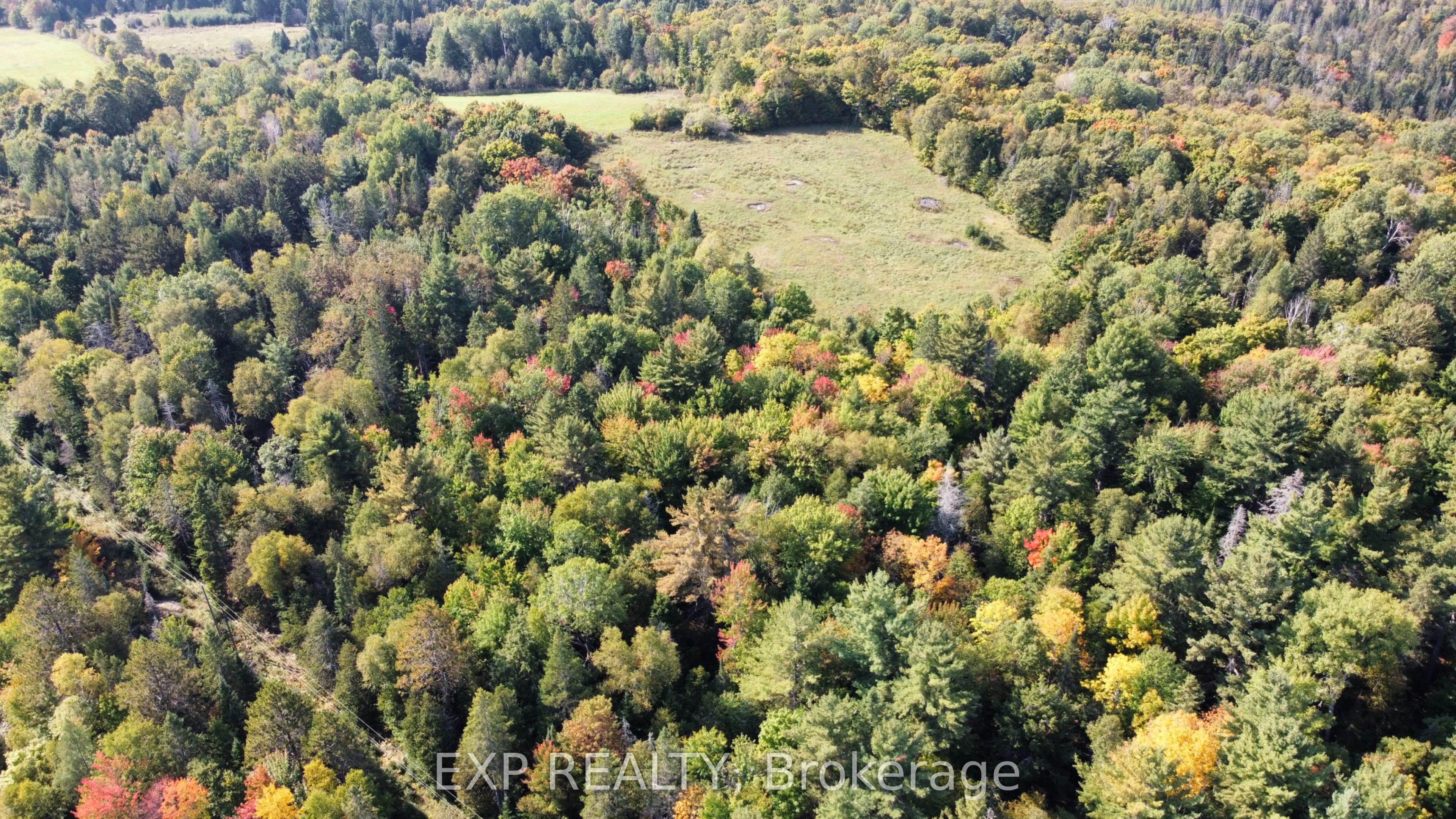 Pt Lt 3 Cedar Grove Road Property Photo 20