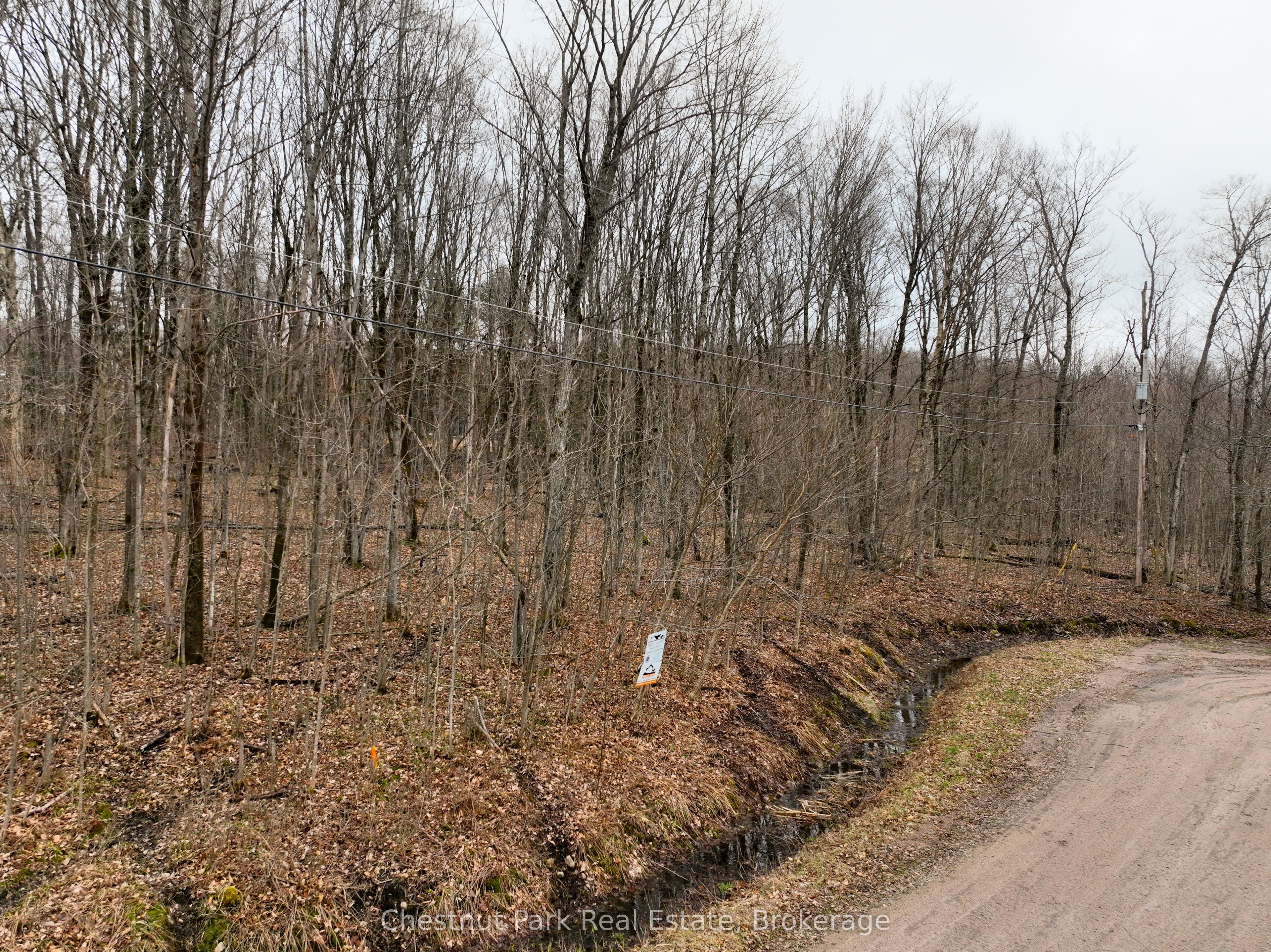 Lot 26 Maple Ridge Road Property Photo 2