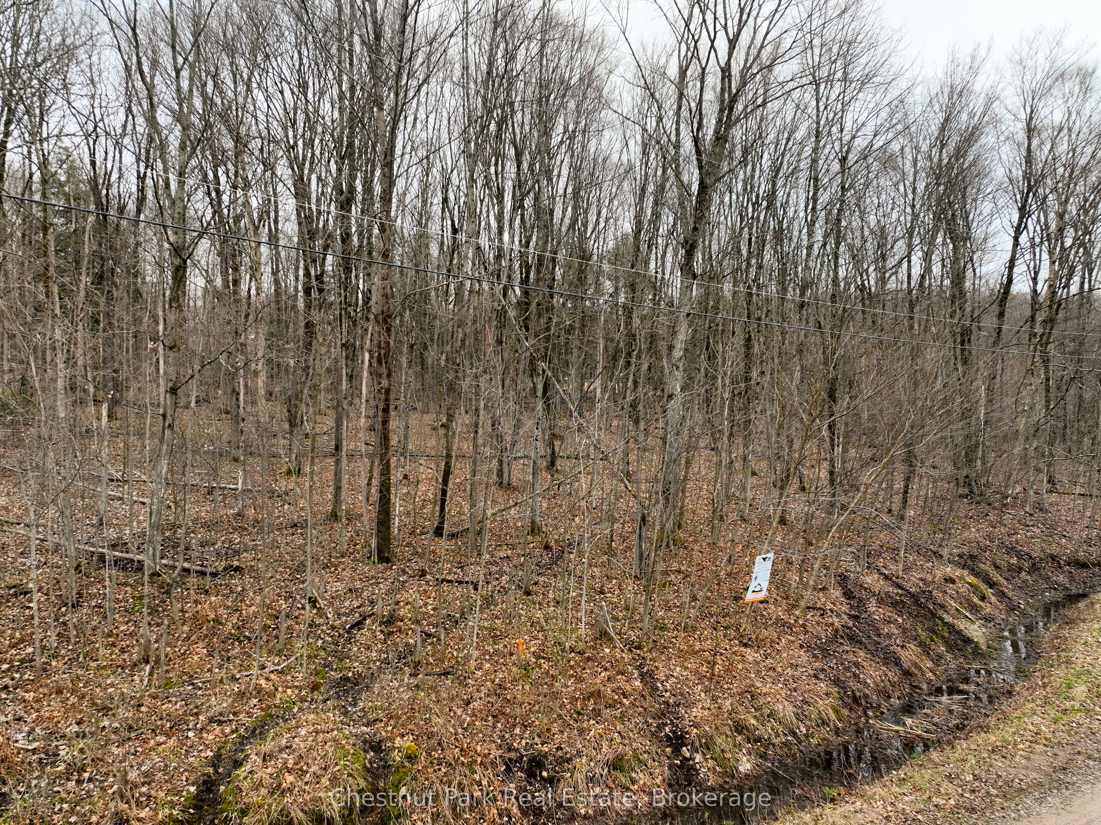 Lot 26 Maple Ridge Road Property Photo 3