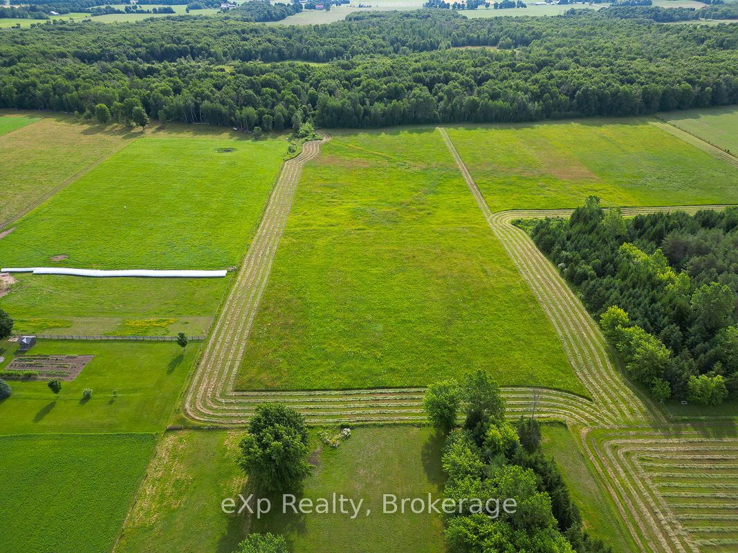 156639 Concession 7a Property Photo 41