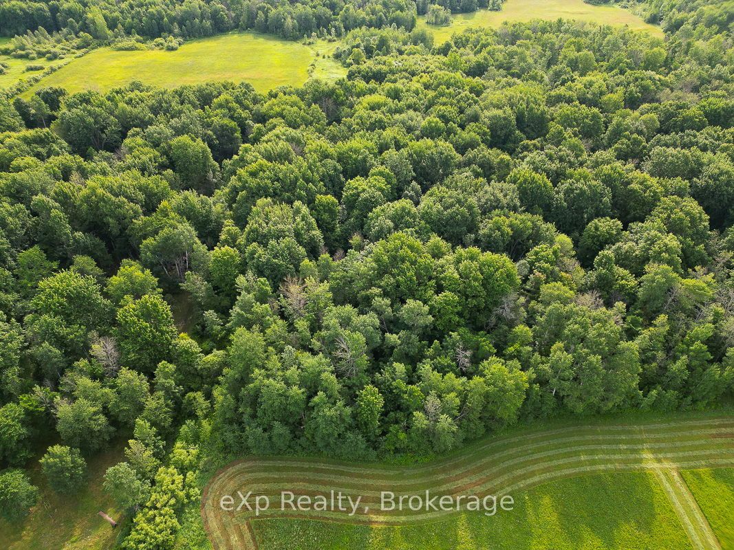 156639 Concession 7a Property Photo 42