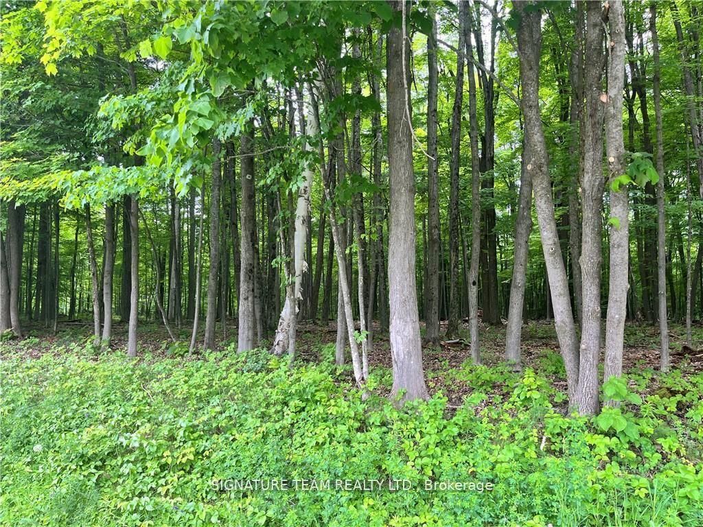 Lot 1 Point Road Property Photo 1