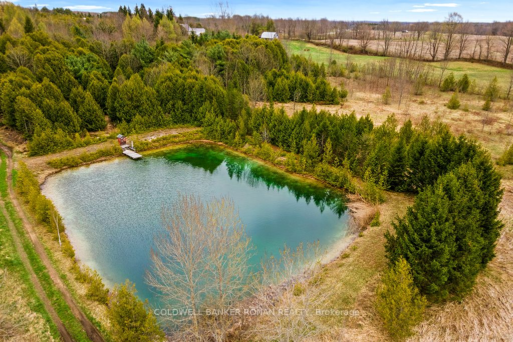 316522 Highway 6 Property Photo 46