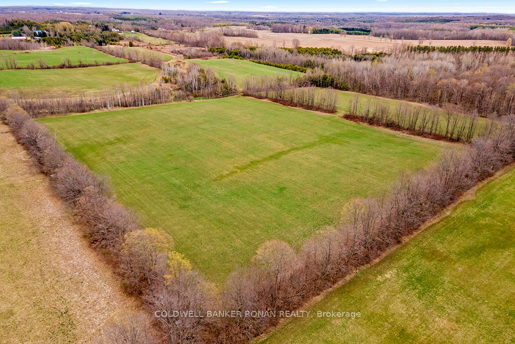 316522 Highway 6 Property Photo 47