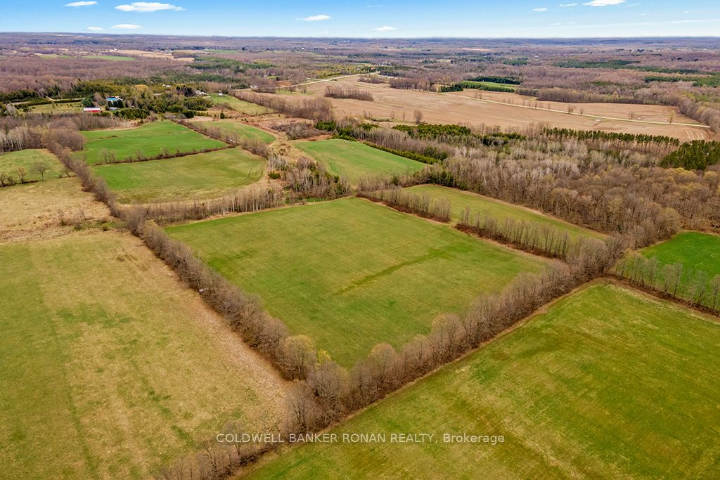 316522 Highway 6 Property Photo 50