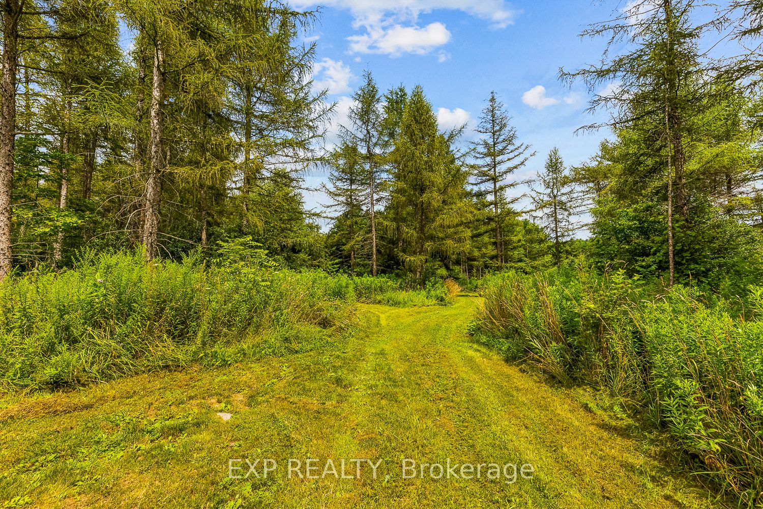 9307 9 Sideroad Property Photo 38