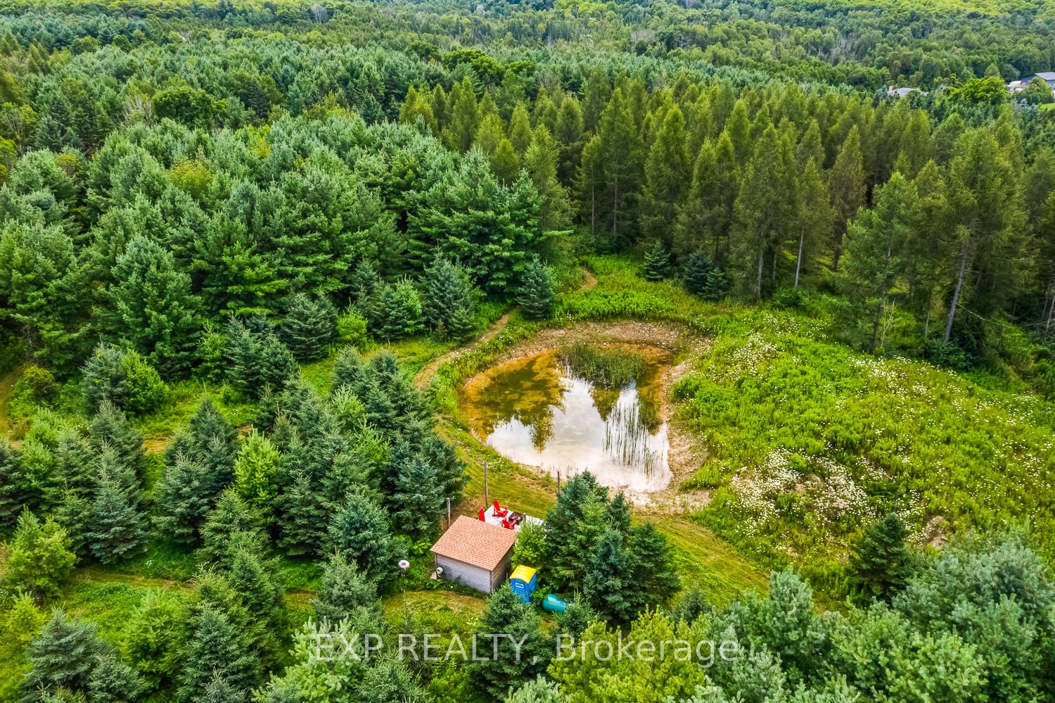 9307 9 Sideroad Property Photo 40