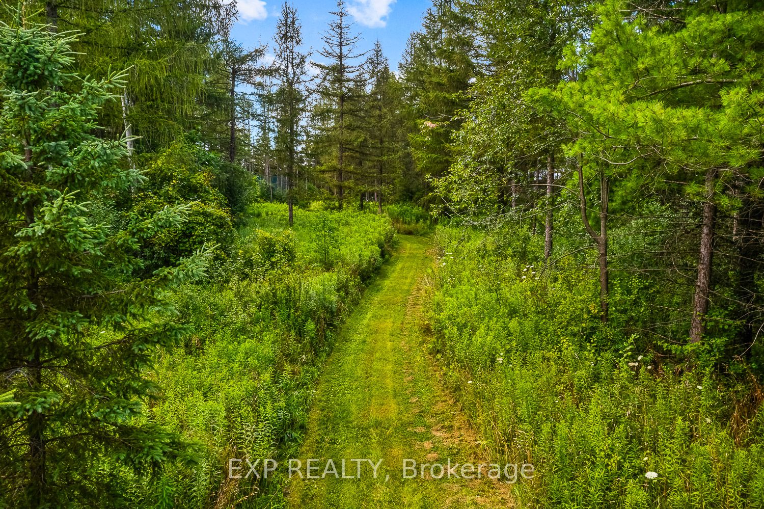 9307 9 Sideroad Property Photo 50