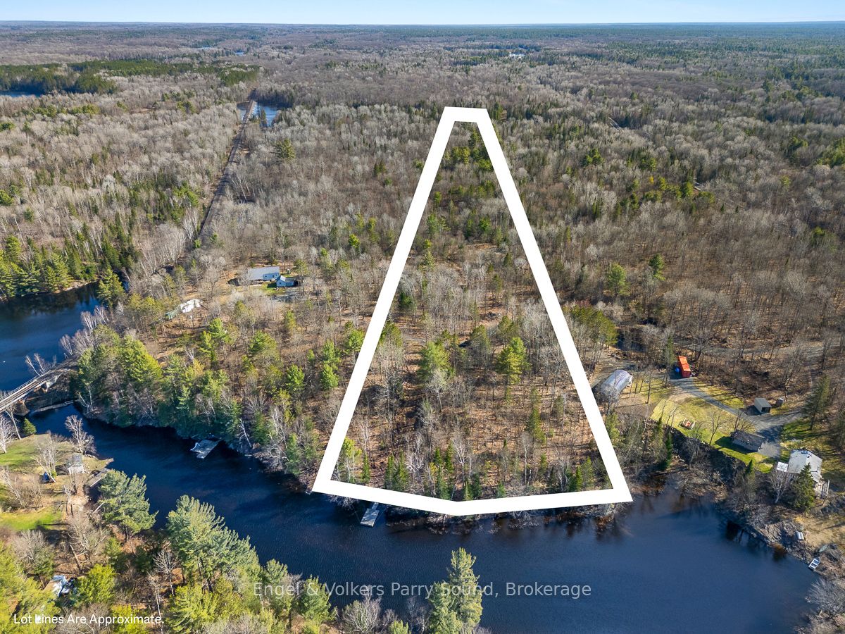 703 Bunny Trl Property Photo 3