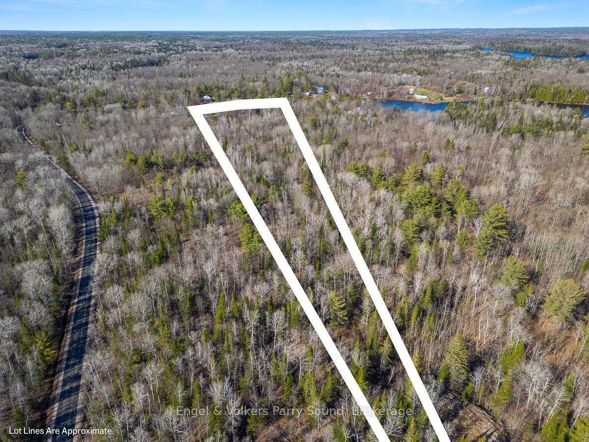 703 Bunny Trl Property Photo 4
