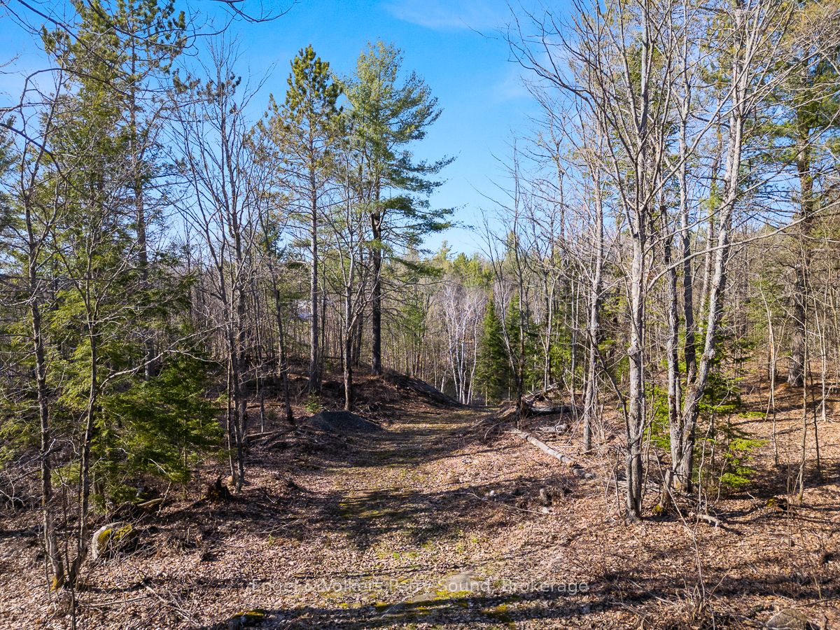 703 Bunny Trl Property Photo 14