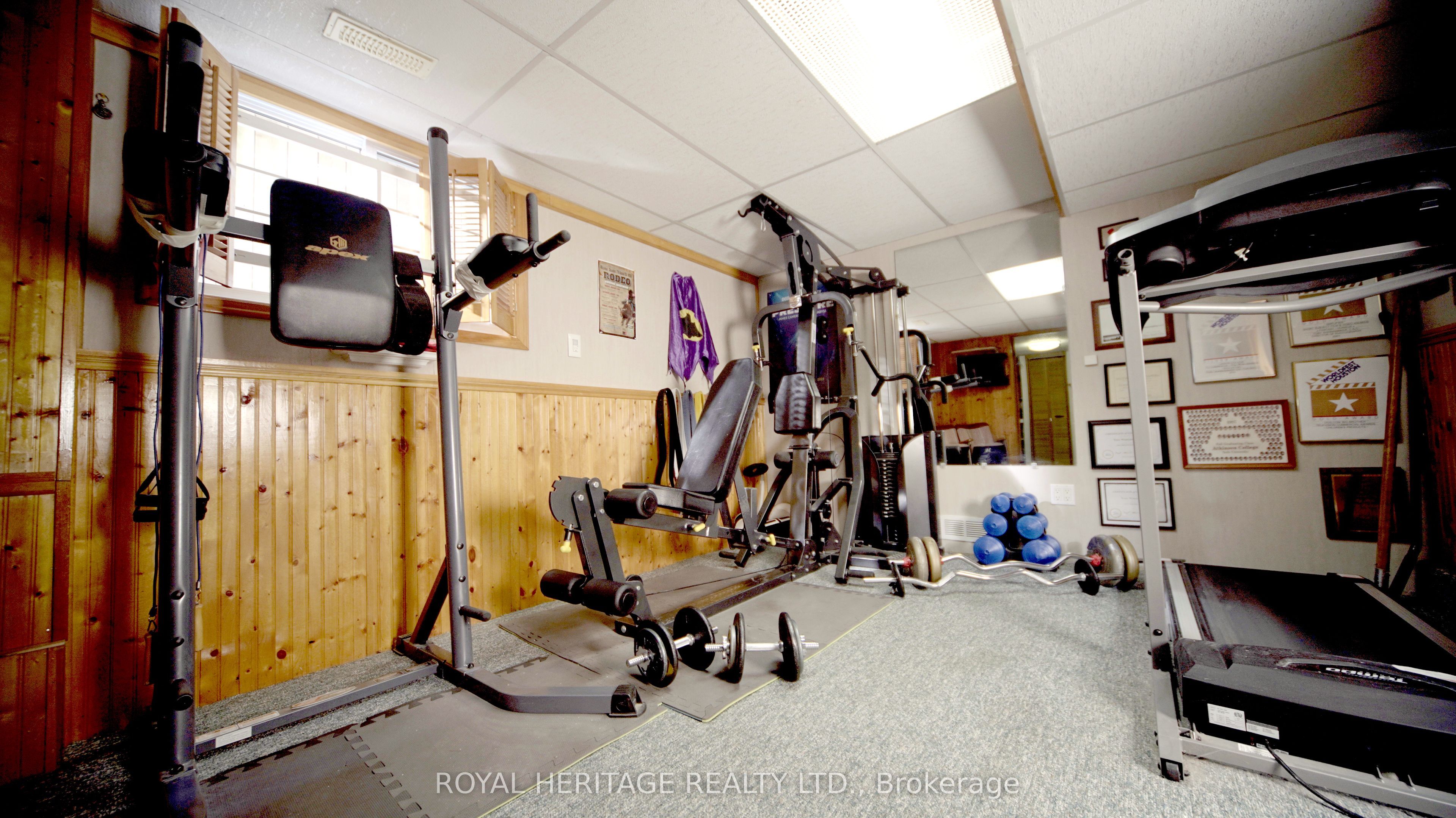 17 Briarwood Cres Property Photo 23