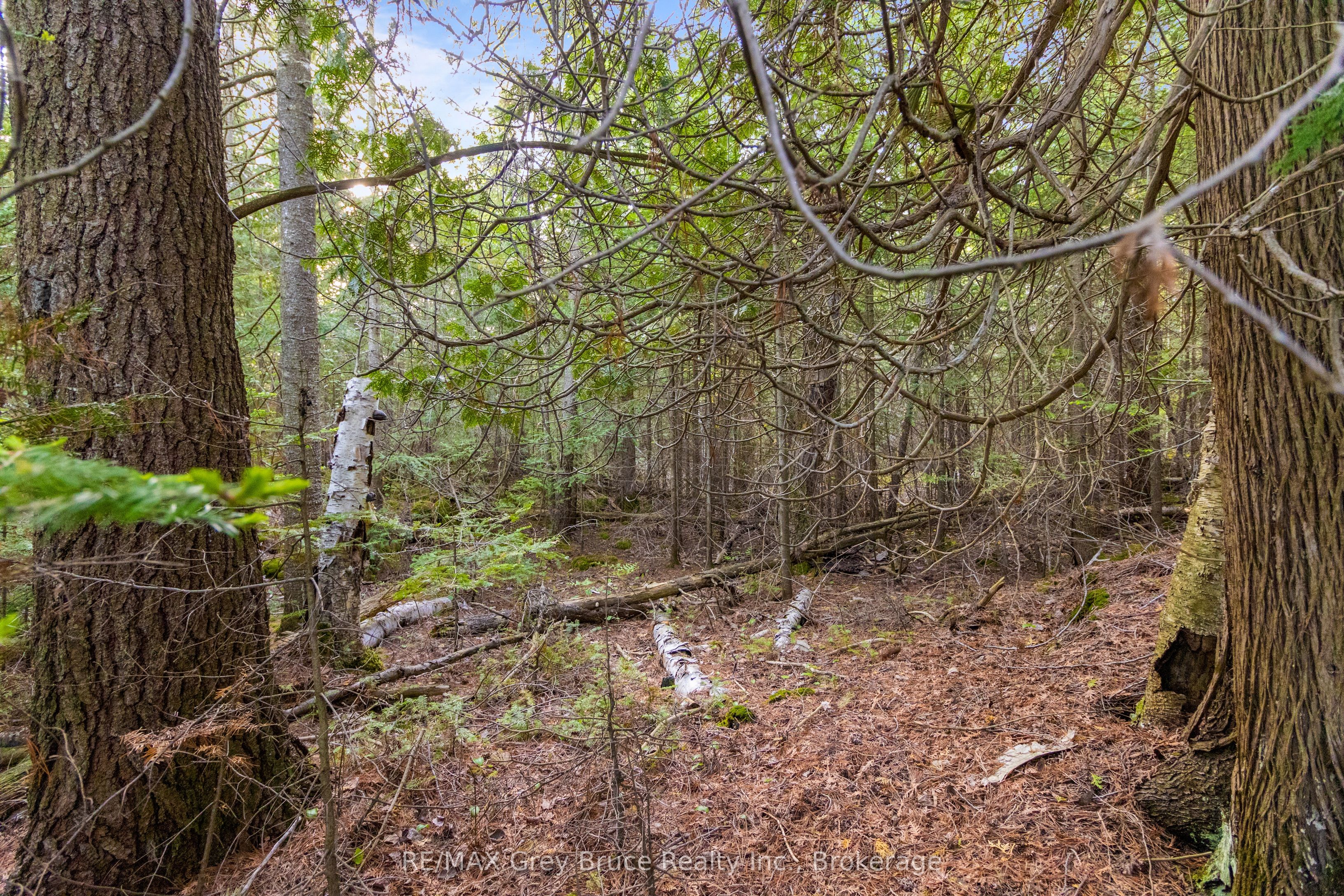 Part Farm Lot 4 Chi Sin Tib Dek Road Property Photo 15