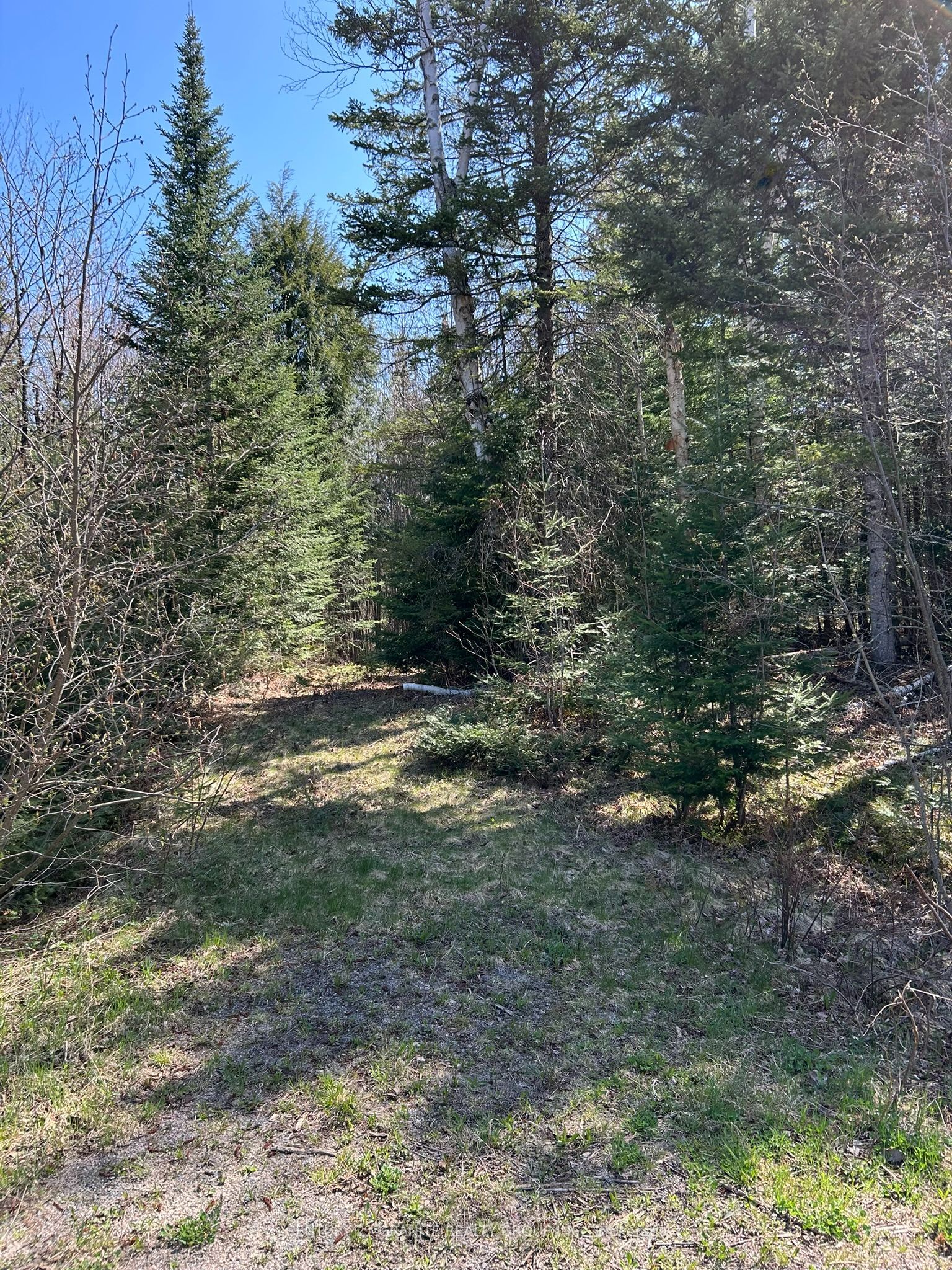 0 Madawaska Road Property Photo