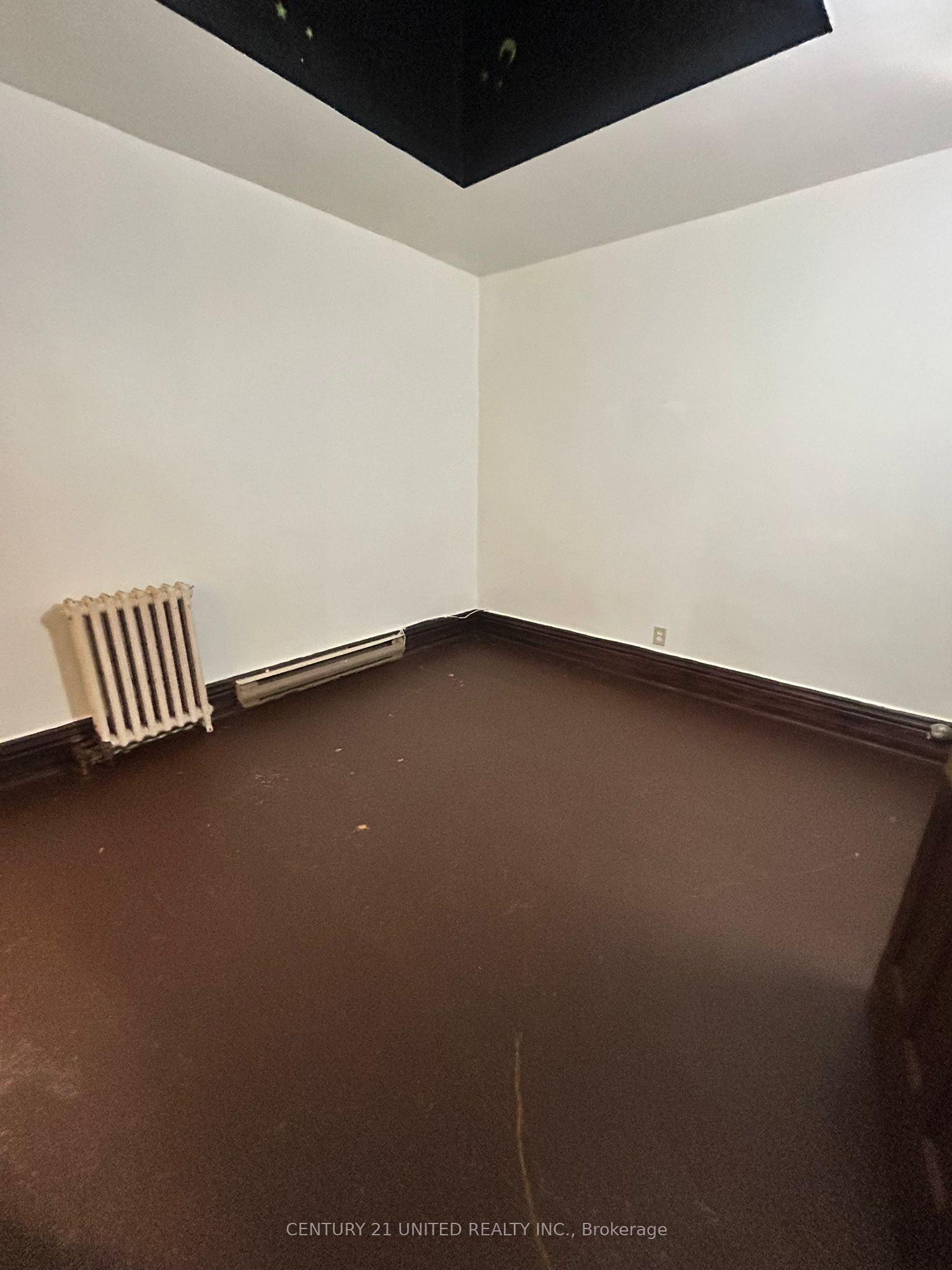 168 Charlotte Street 1 Property Photo 8