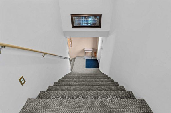 4 Neely Street Property Photo 21