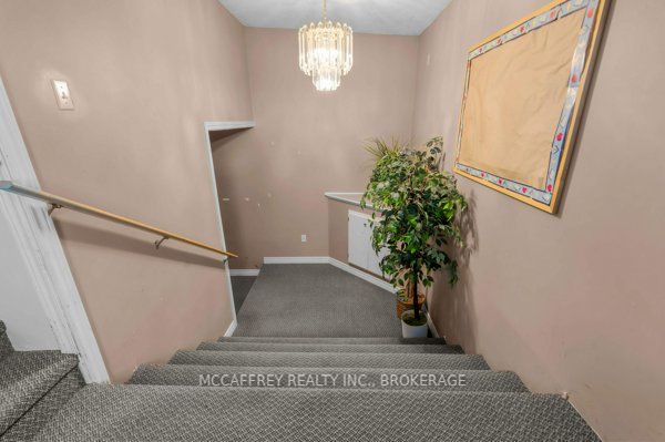 4 Neely Street Property Photo 22