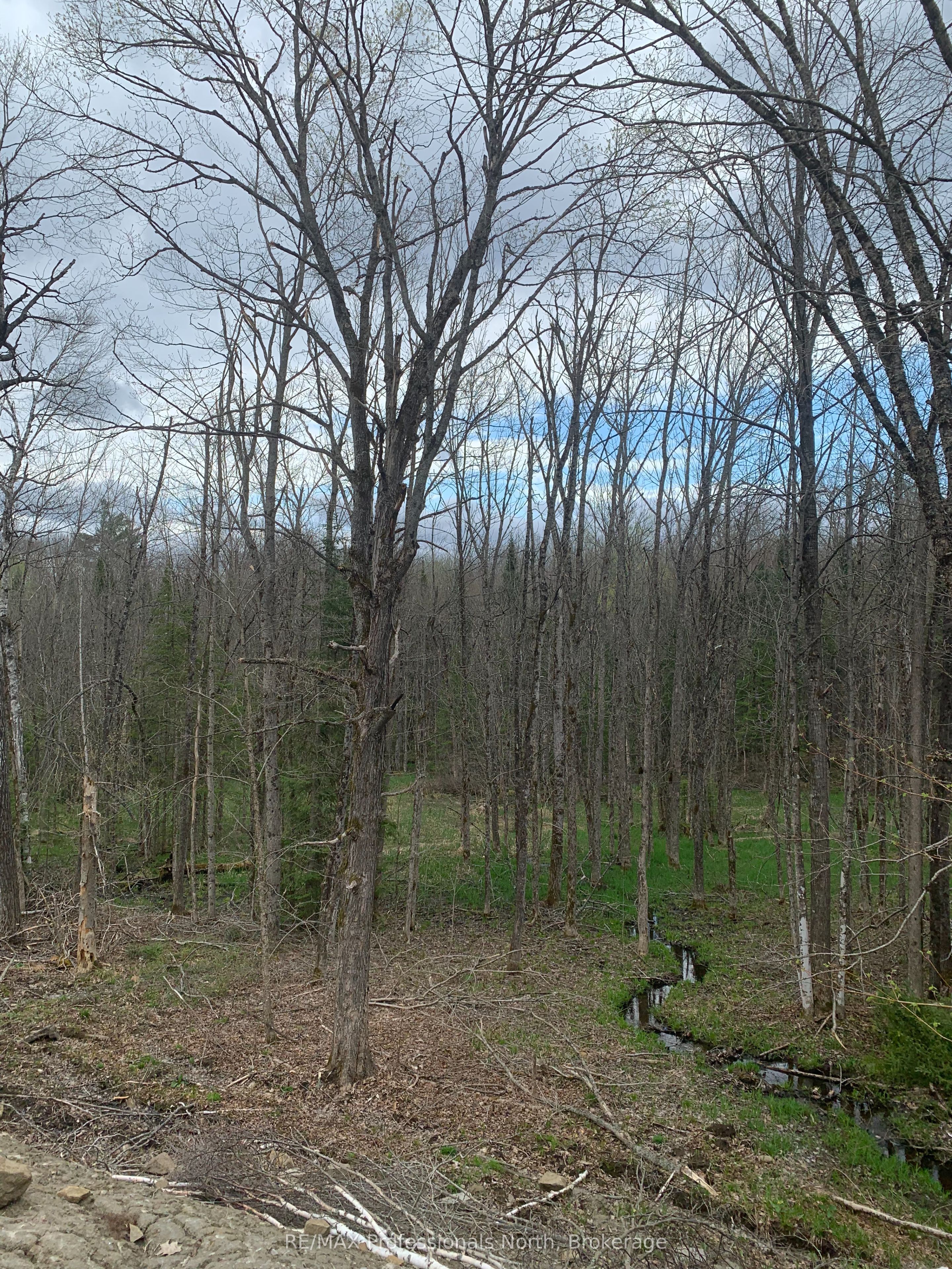3052 Deep Bay Rd Property Photo