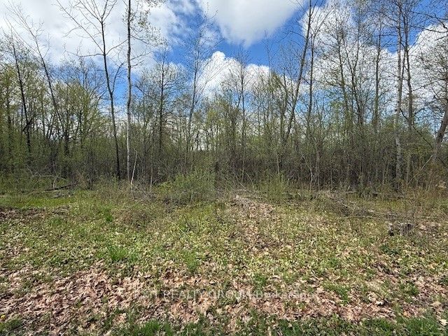 Pt Lt 8 Concession Road 10 Property Photo 1
