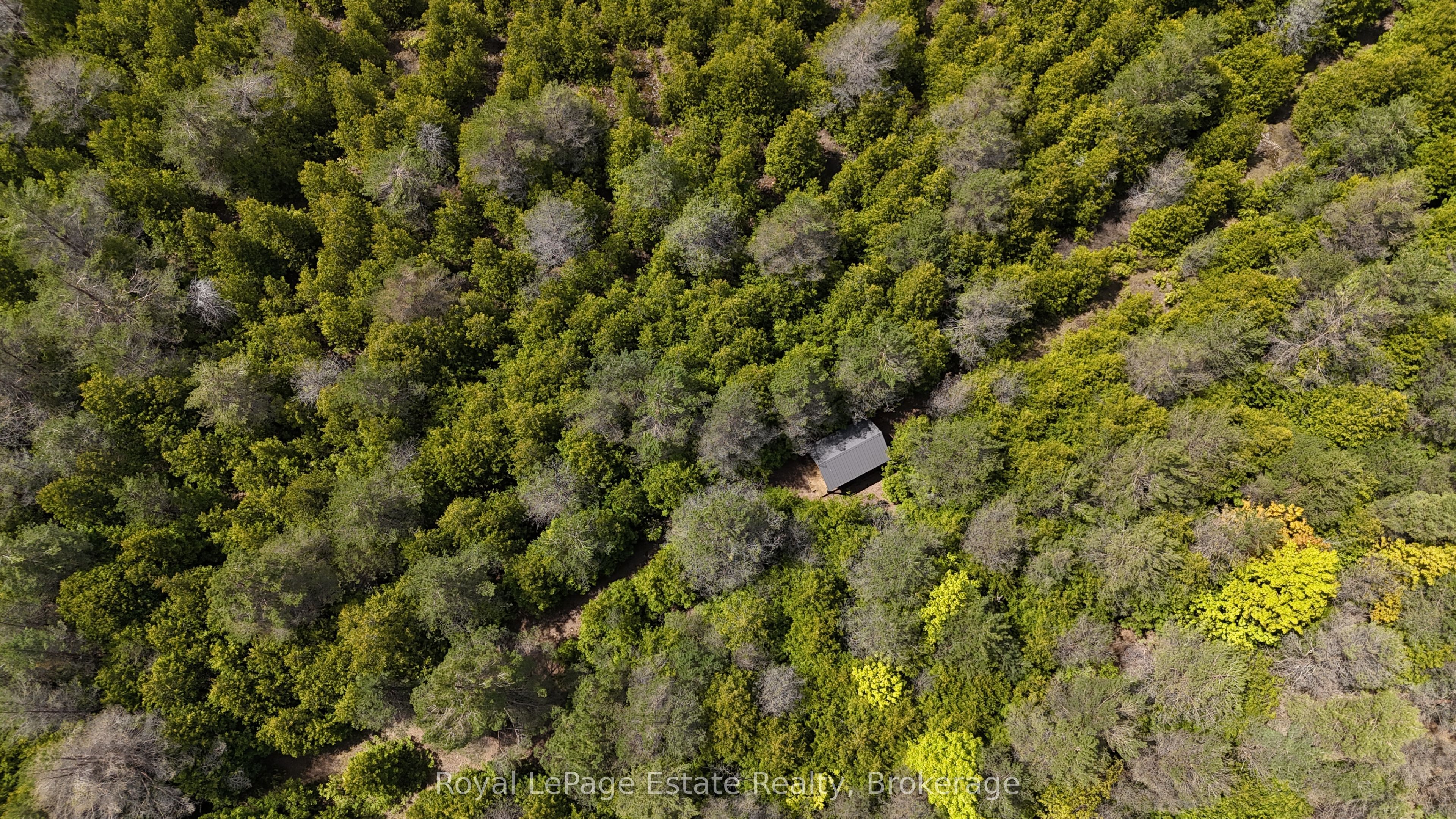 478 Bruce Rd 9 N/a Property Photo 44
