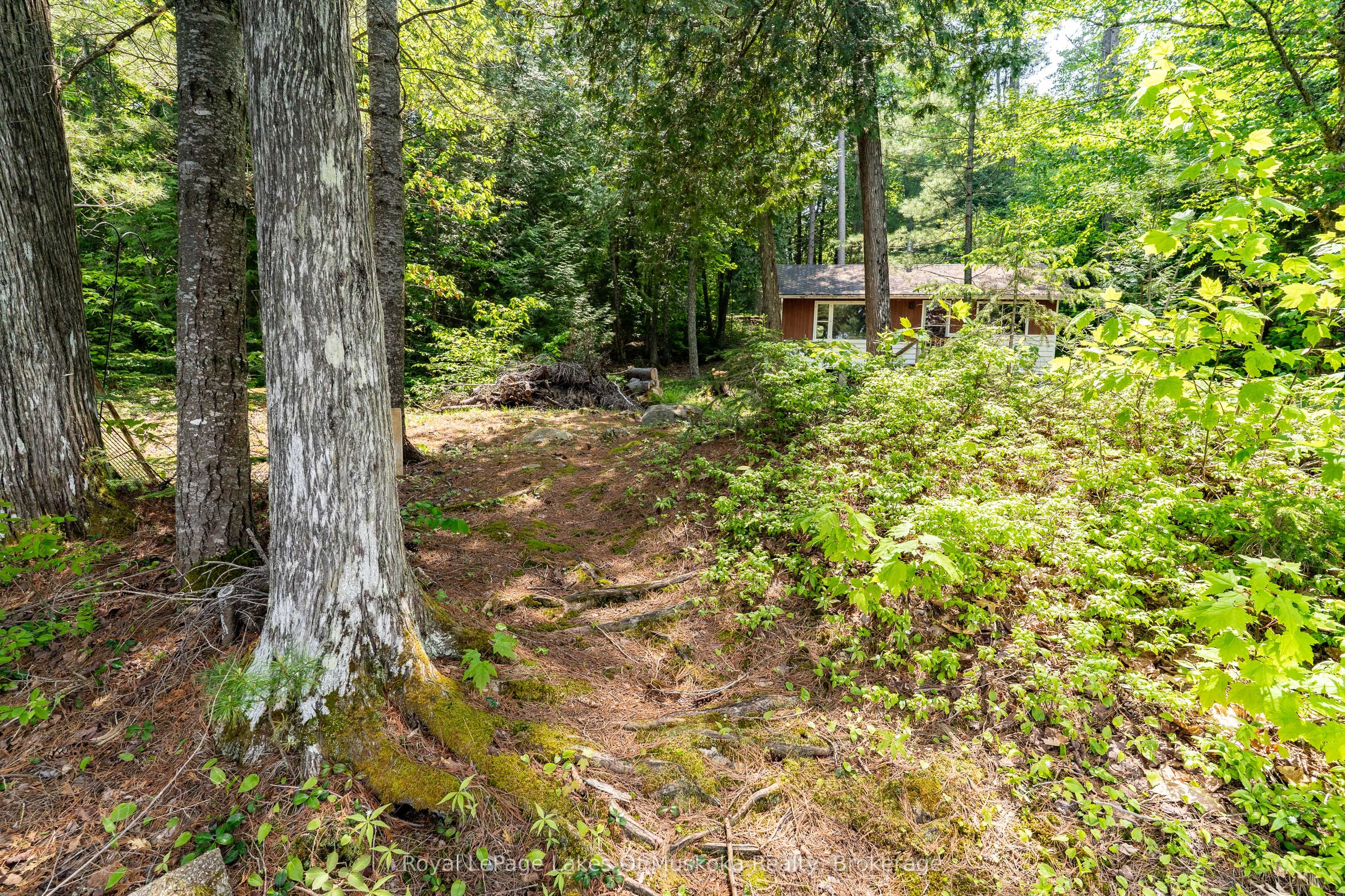 1042 Farmer Hays Drive Property Photo 7