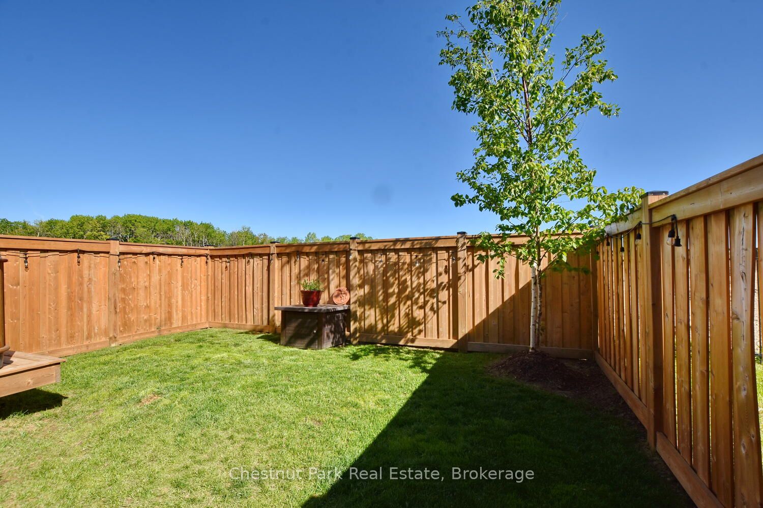 146 Red Pine Street Property Photo 33
