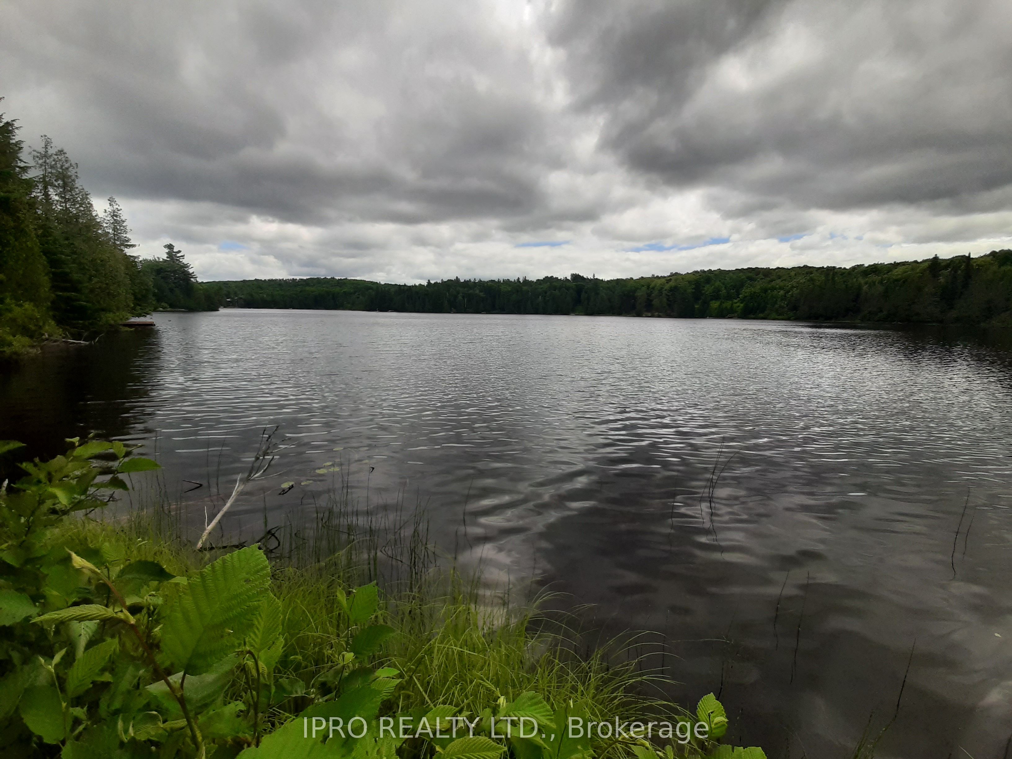6491-B Opeongo Road Property Photo 1