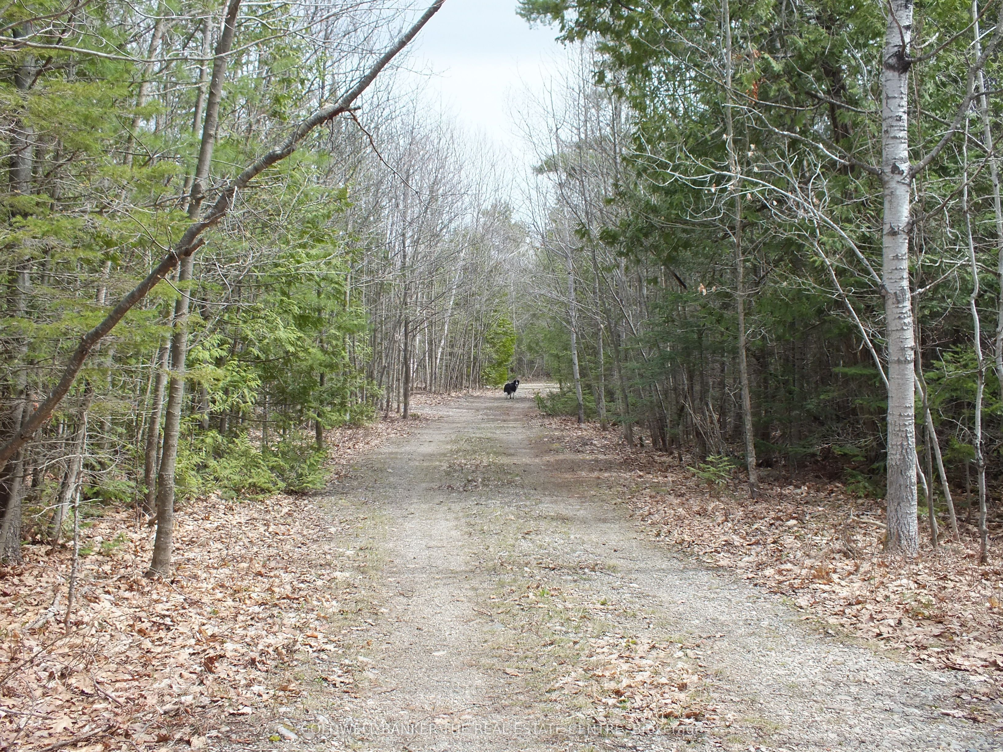 N/a Dial Road Property Photo