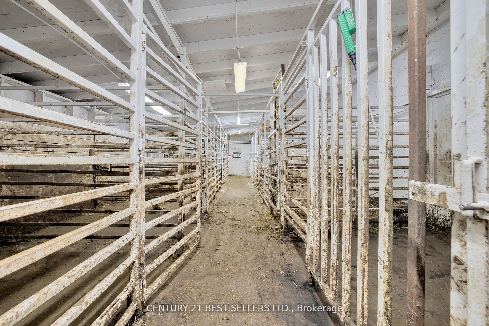 4049 Bonneau Line Property Photo 19