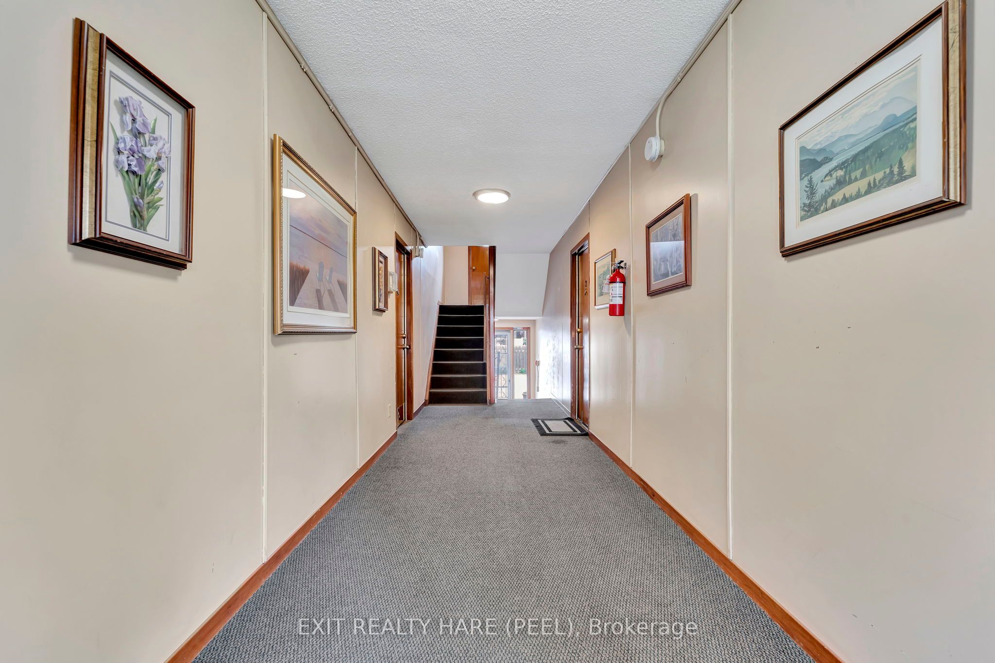 52 Hampton Street Property Photo 7