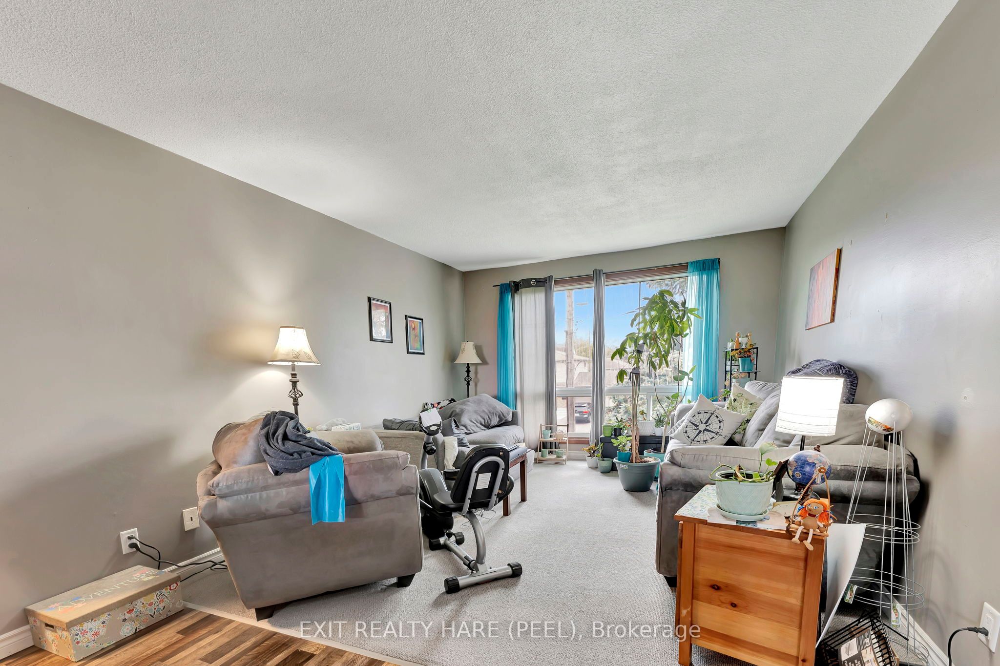 52 Hampton Street Property Photo 11