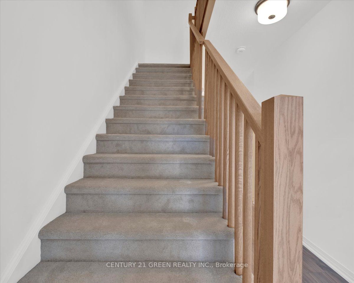 52 Mckernan Avenue Property Photo 12