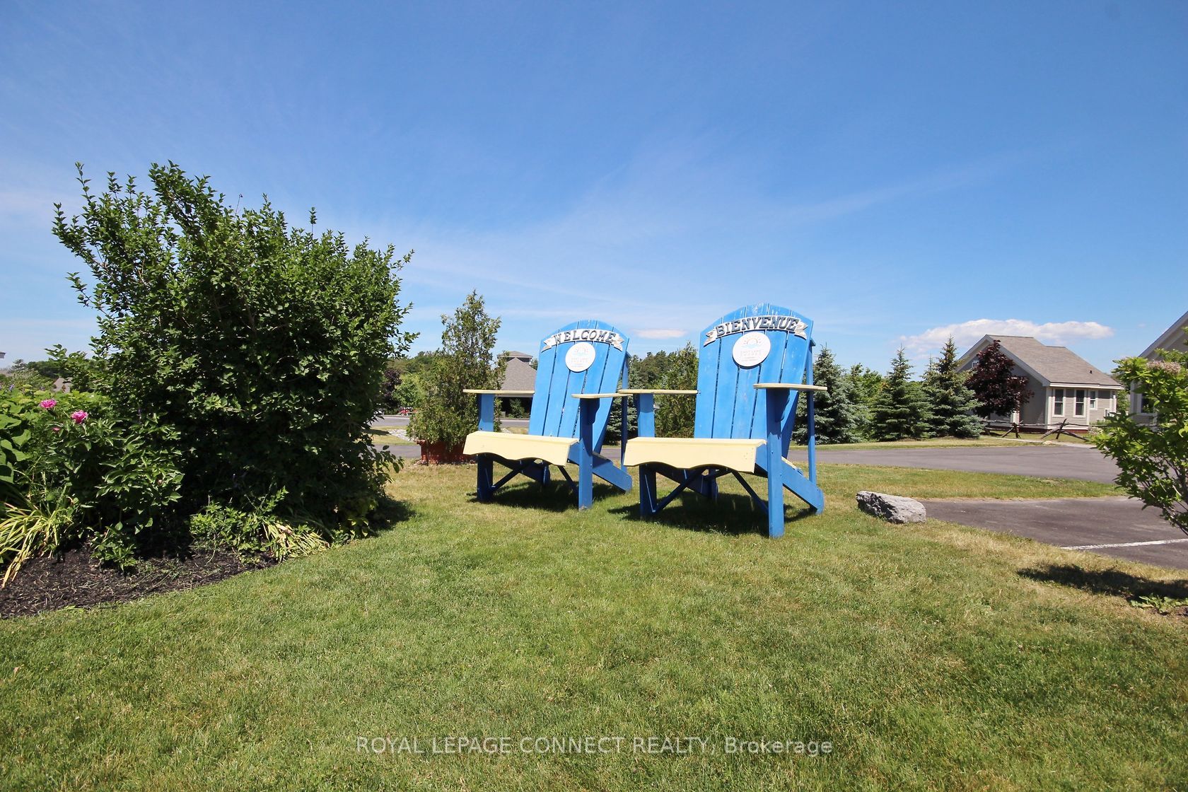 #217 - 7 Hollow Lane Property Photo 38