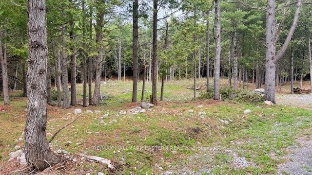 593 County Road 40 N/a Property Photo 1