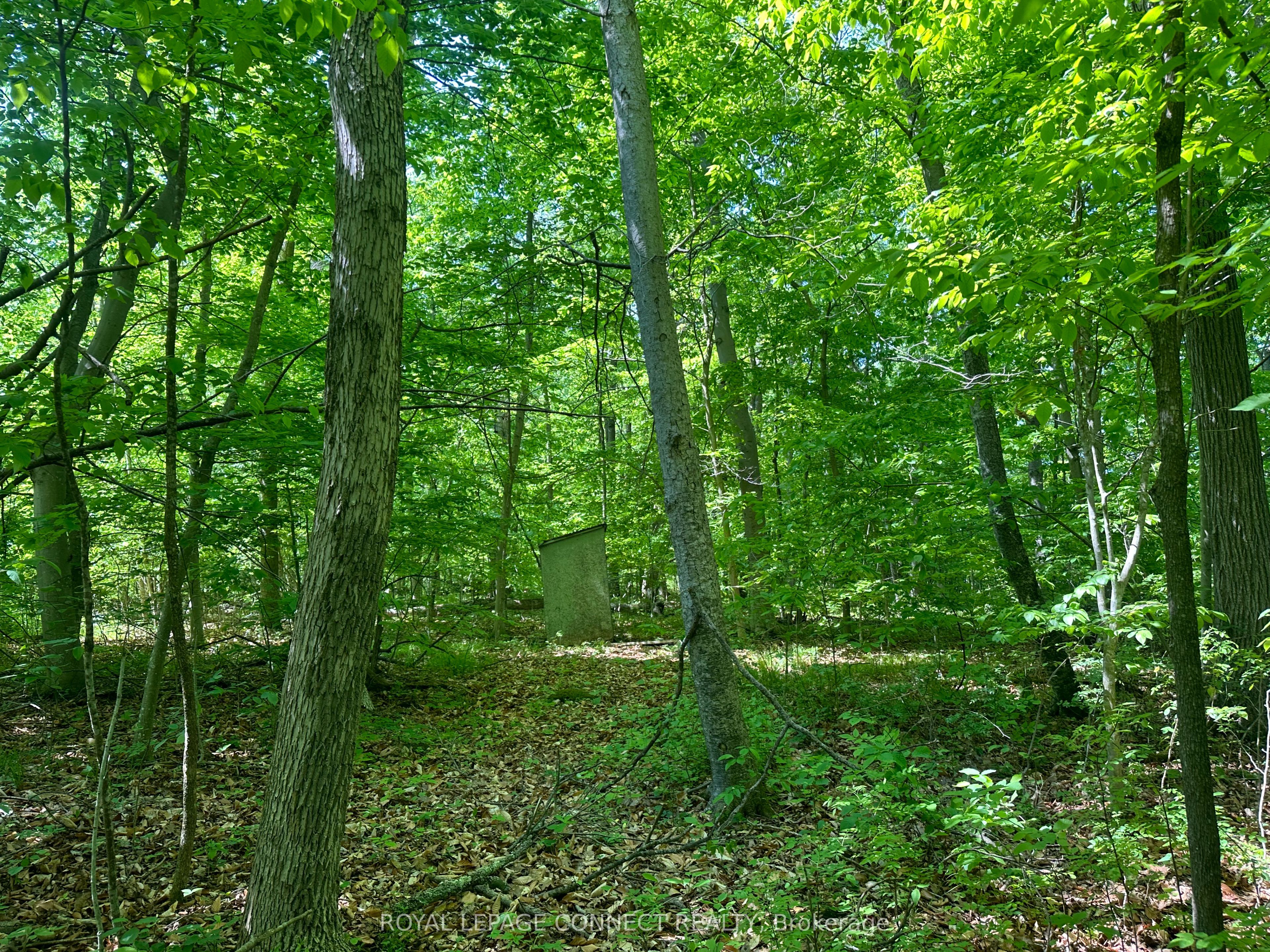 20 Riverside Drive Property Photo