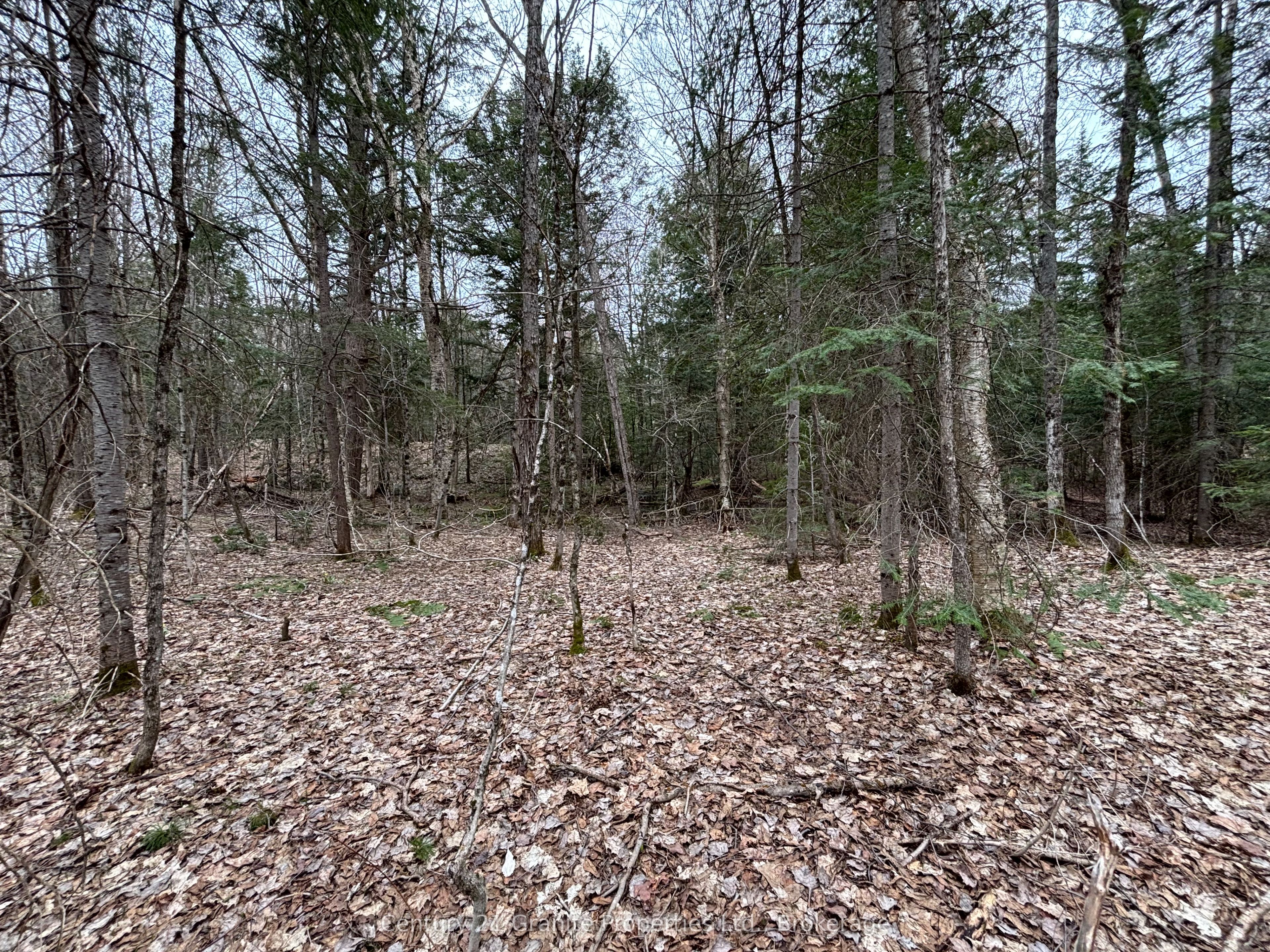 Lot 1 Loch Erne Road Property Photo 1