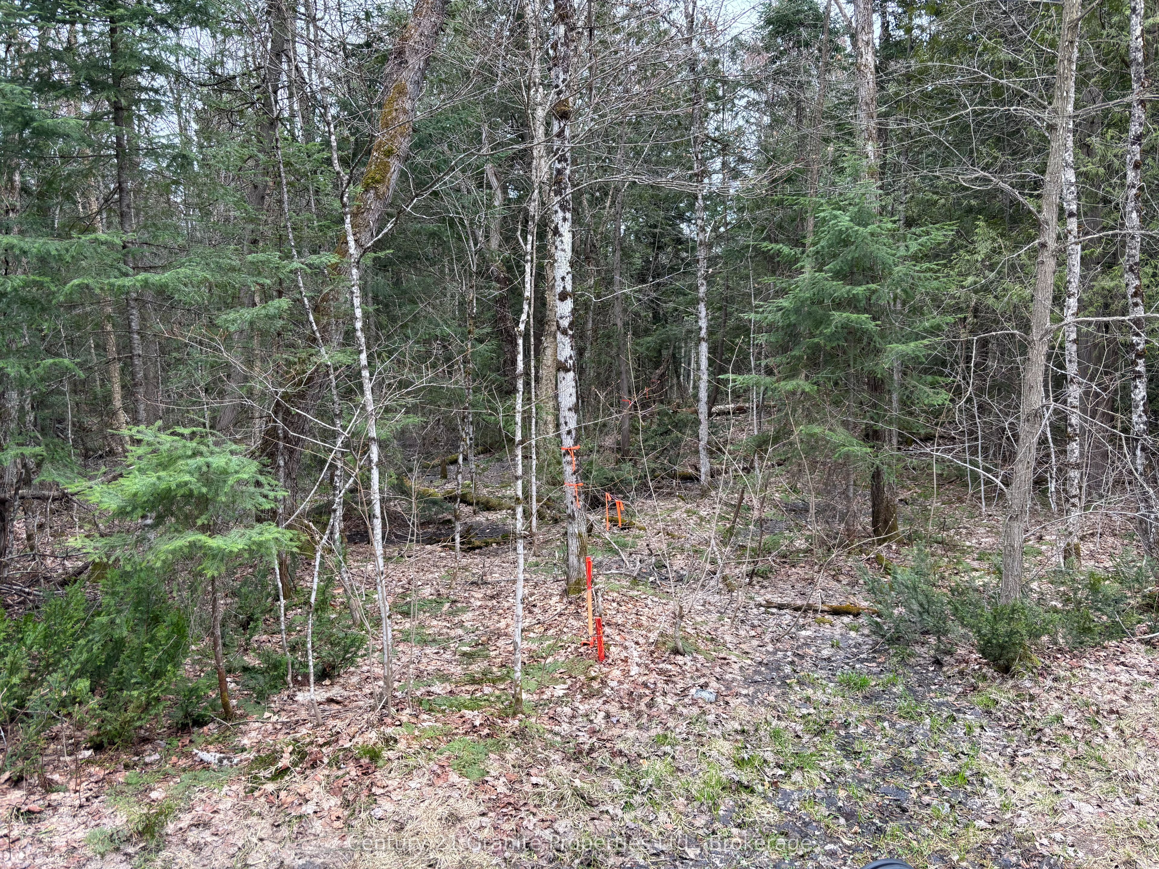 Lot 1 Loch Erne Road Property Photo 2