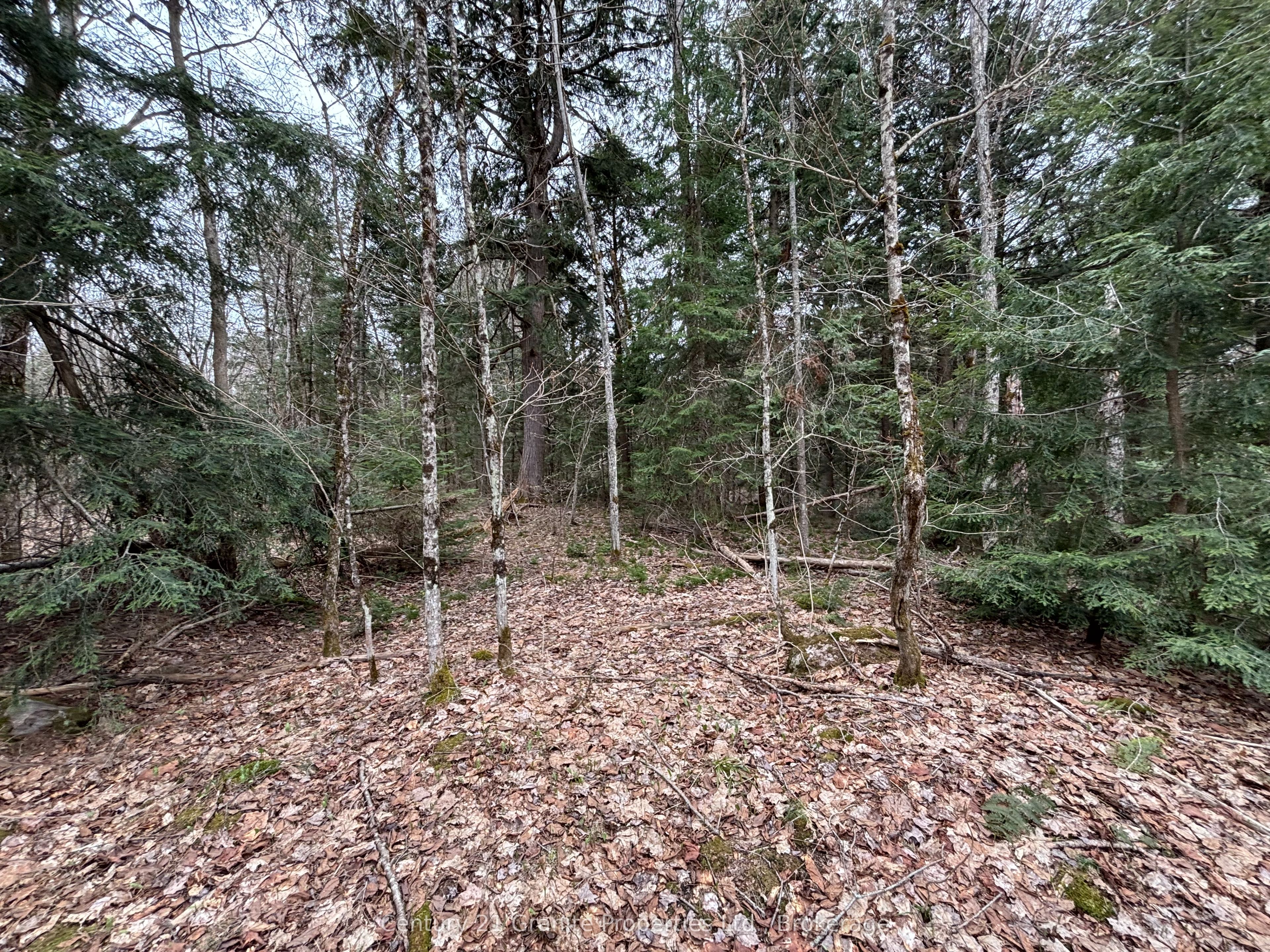 Lot 1 Loch Erne Road Property Photo 3