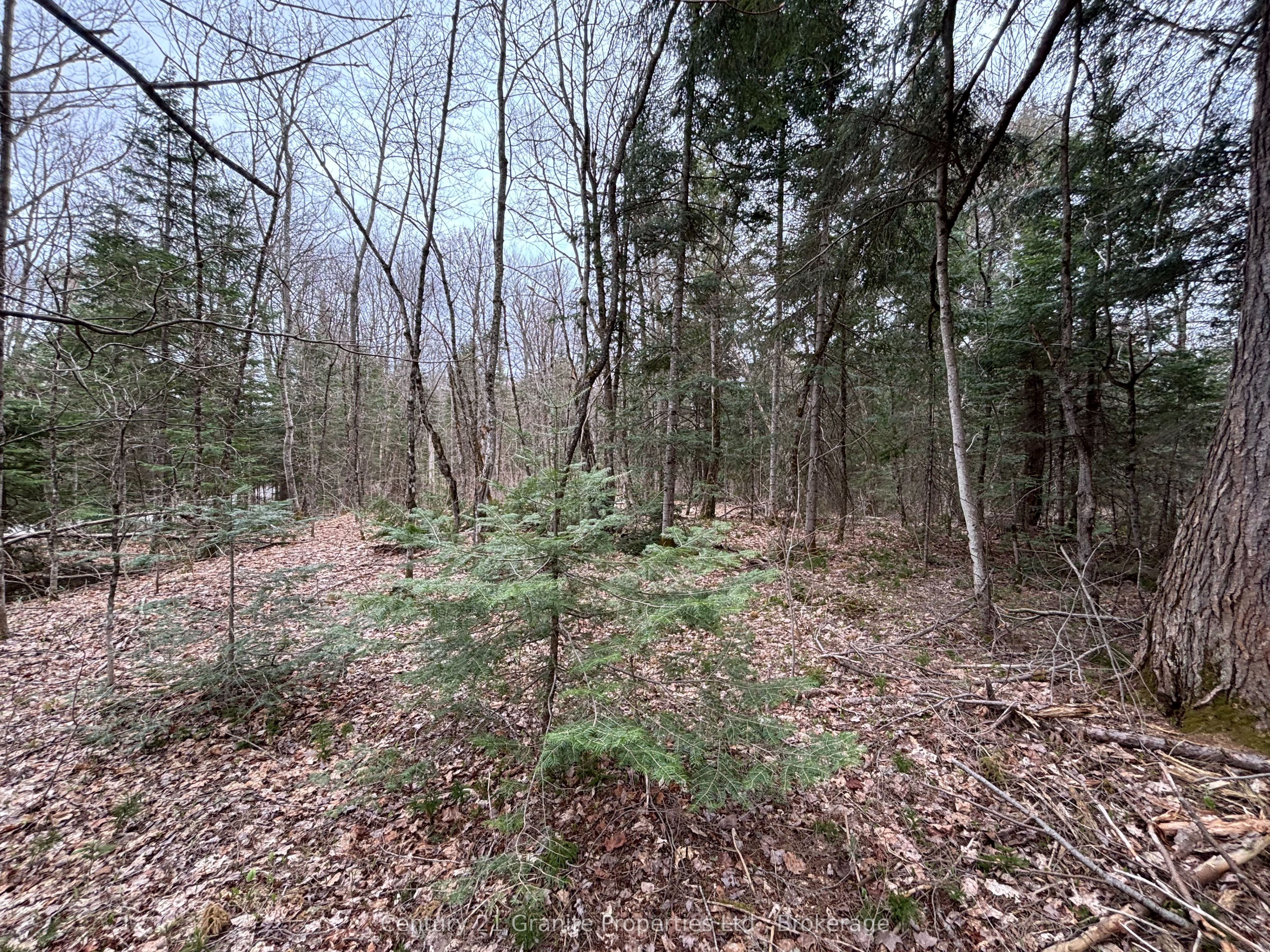 Lot 1 Loch Erne Road Property Photo 4