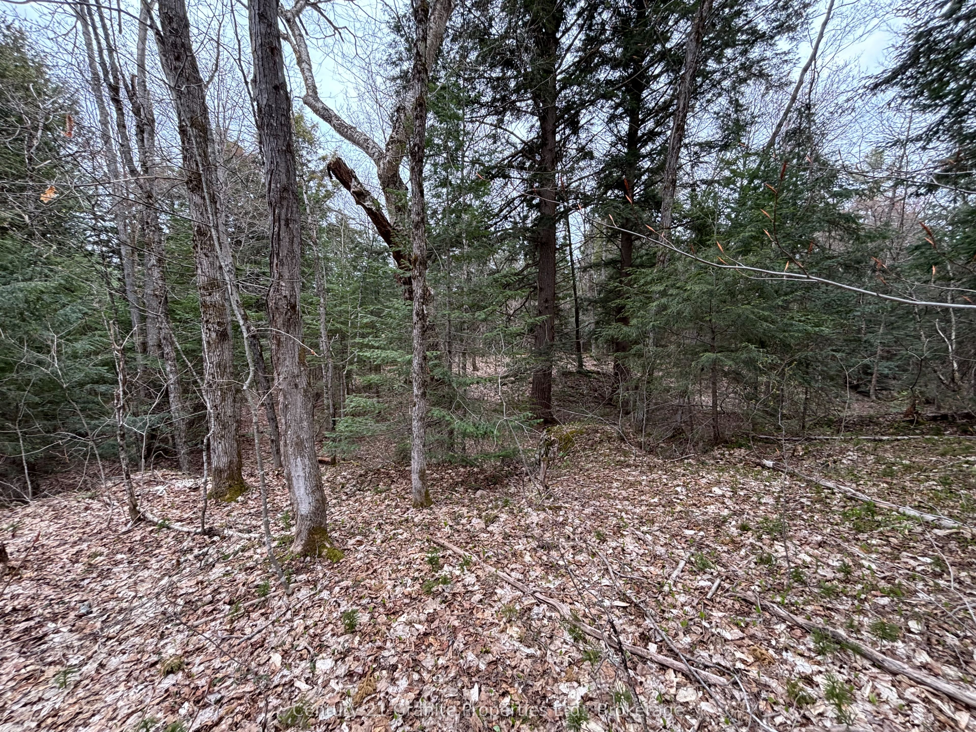 Lot 1 Loch Erne Road Property Photo 5