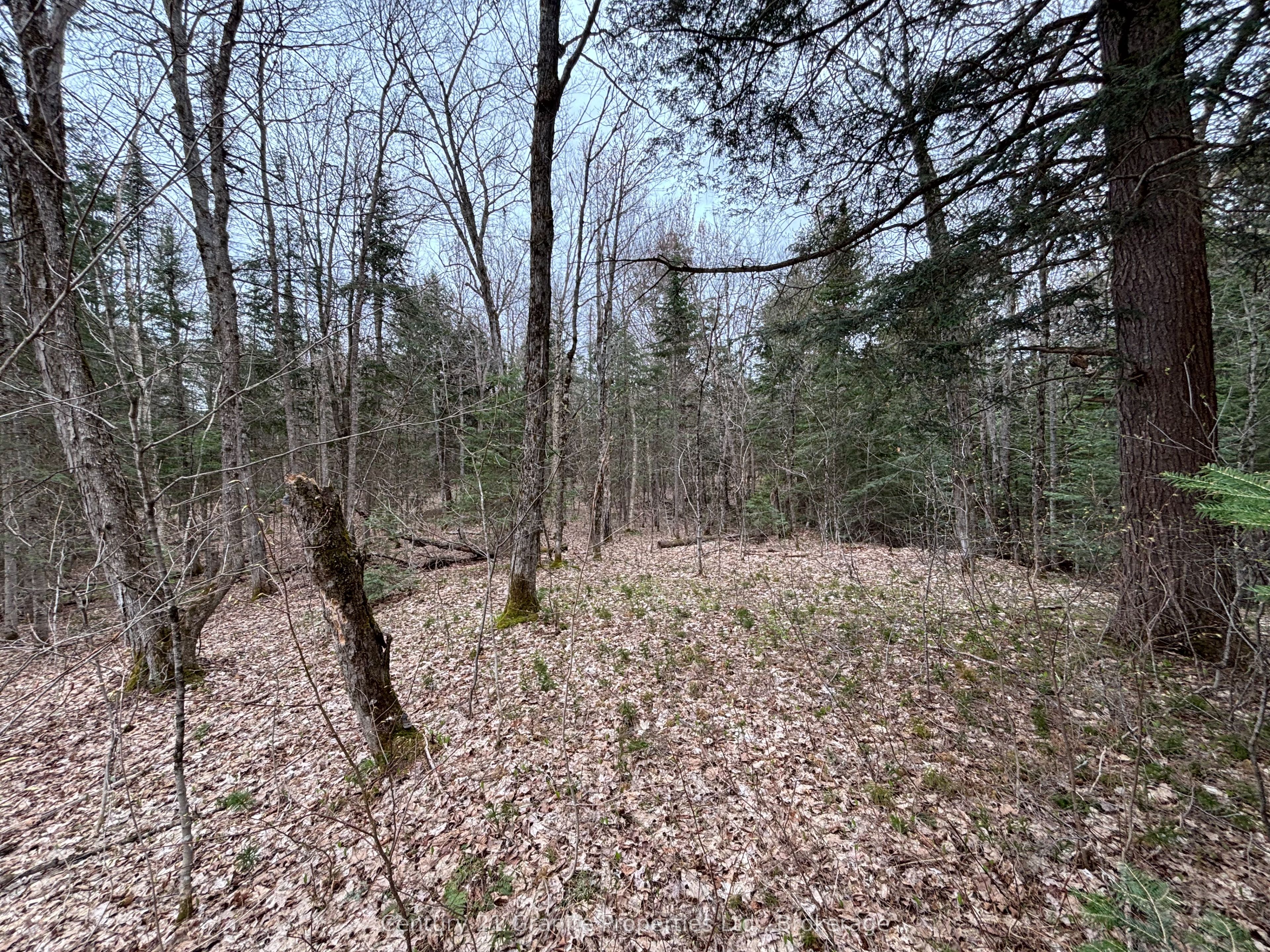 Lot 1 Loch Erne Road Property Photo 6