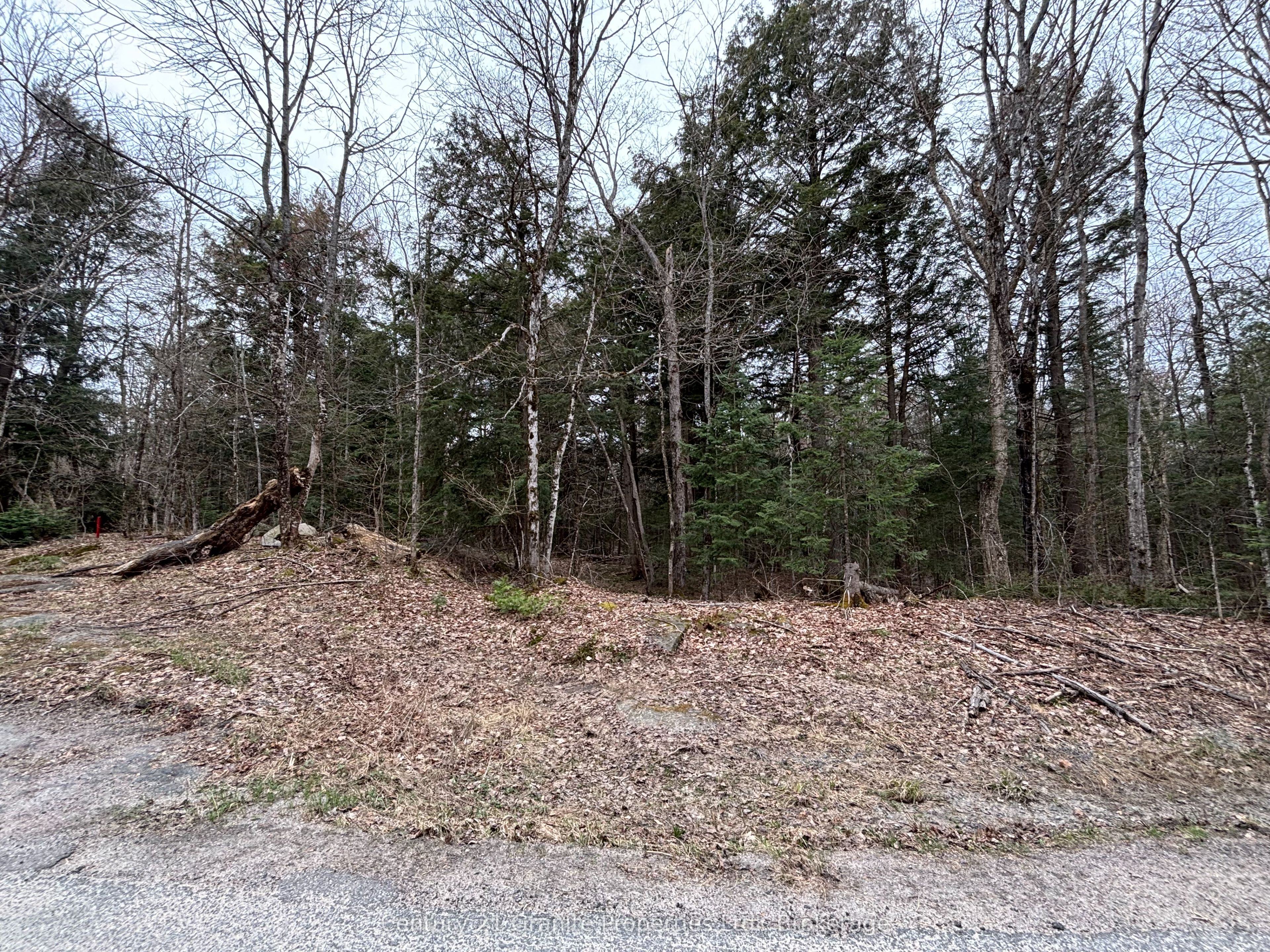 Lot 1 Loch Erne Road Property Photo 7