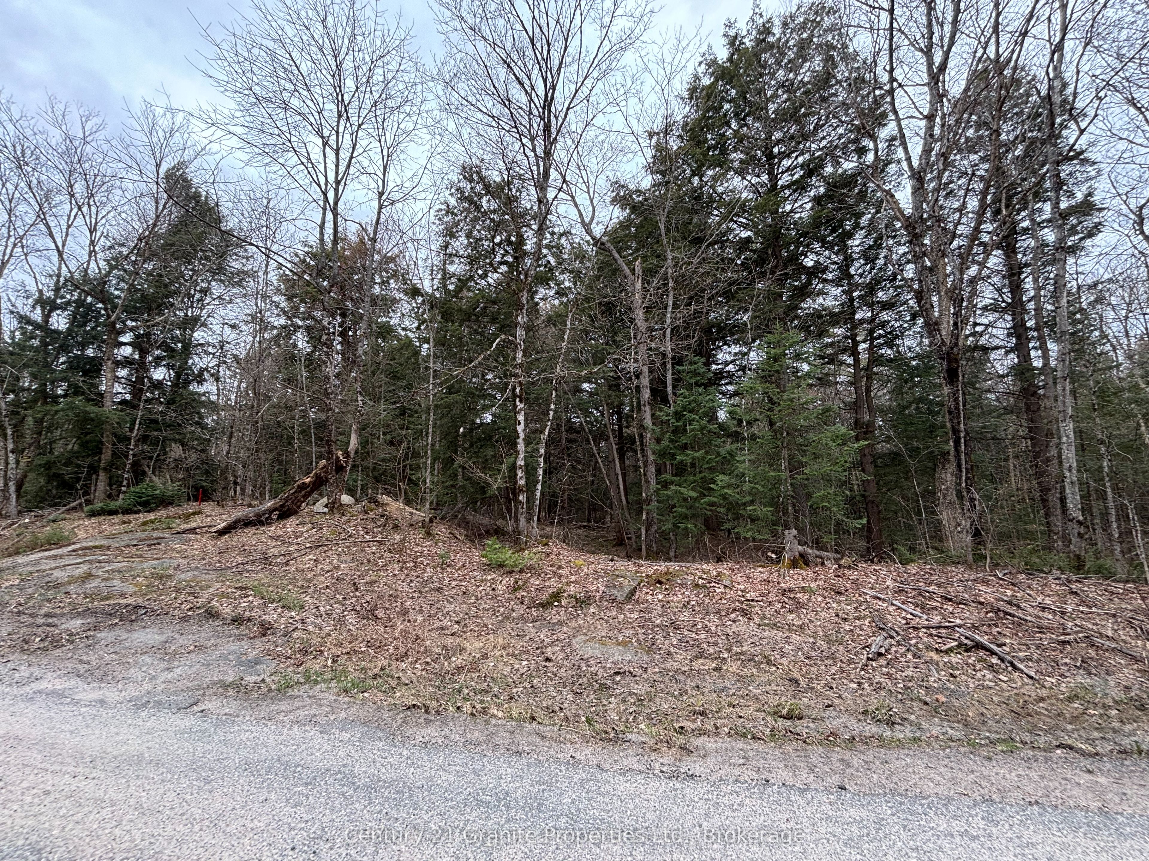 Lot 1 Loch Erne Road Property Photo 8