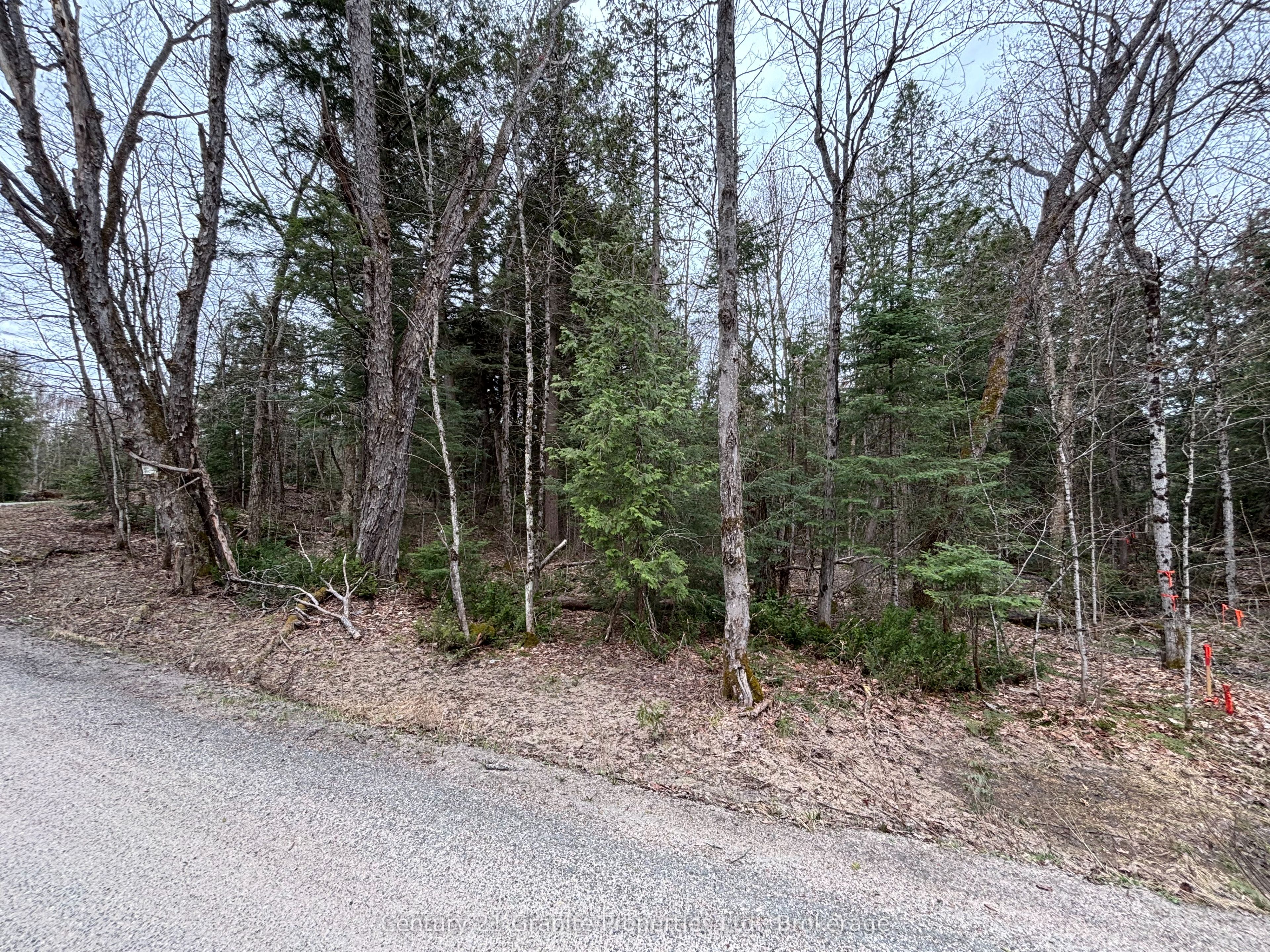 Lot 1 Loch Erne Road Property Photo 9