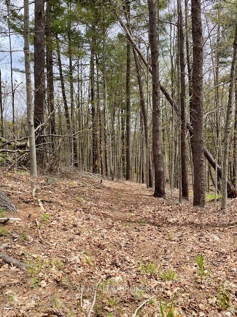 10914 County Road 38 Road Property Photo 1